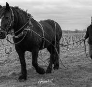 Domaine de Cadeillac (2)