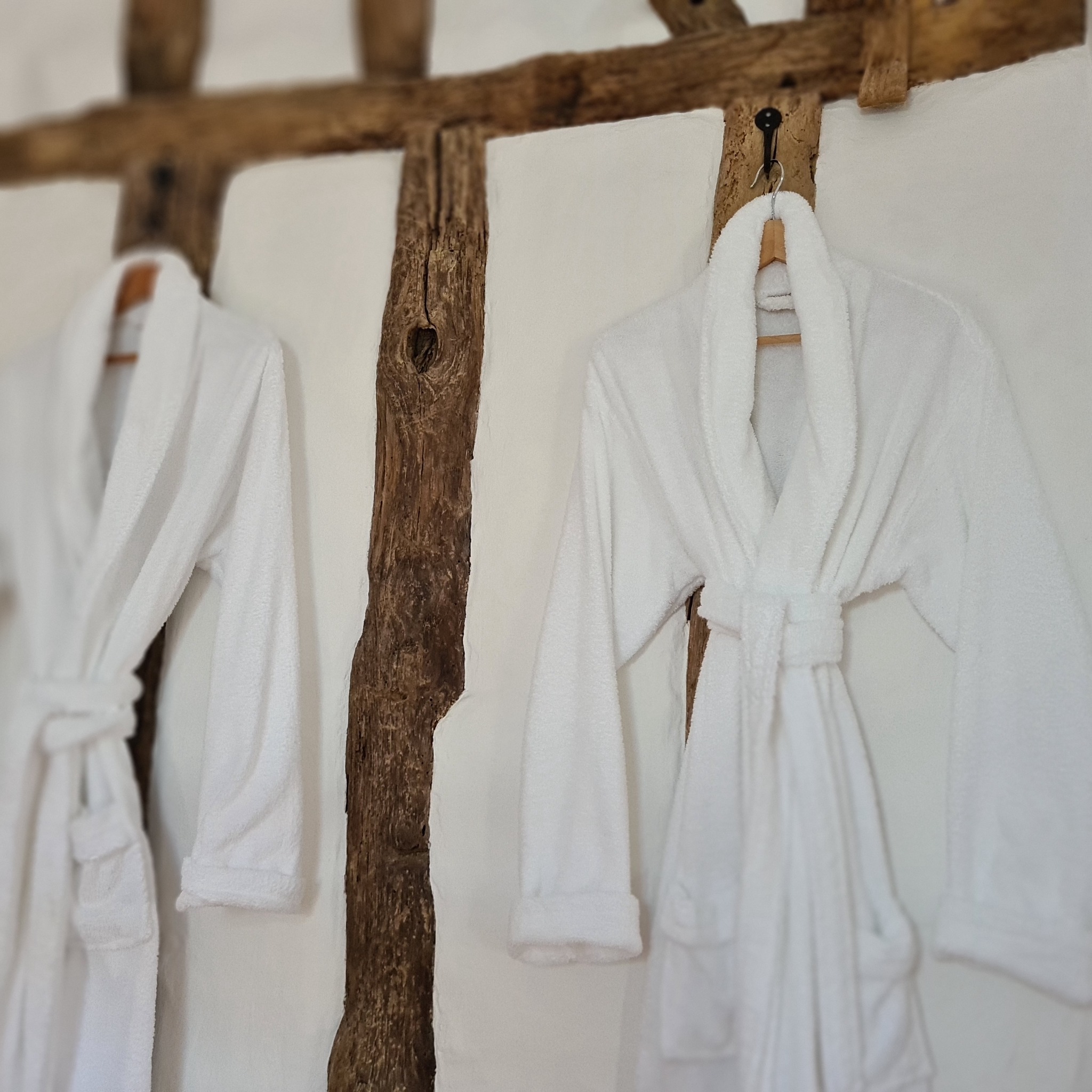 DOMAINE L'ARPENT, Saint-Loup-en-Comminges - photo 10