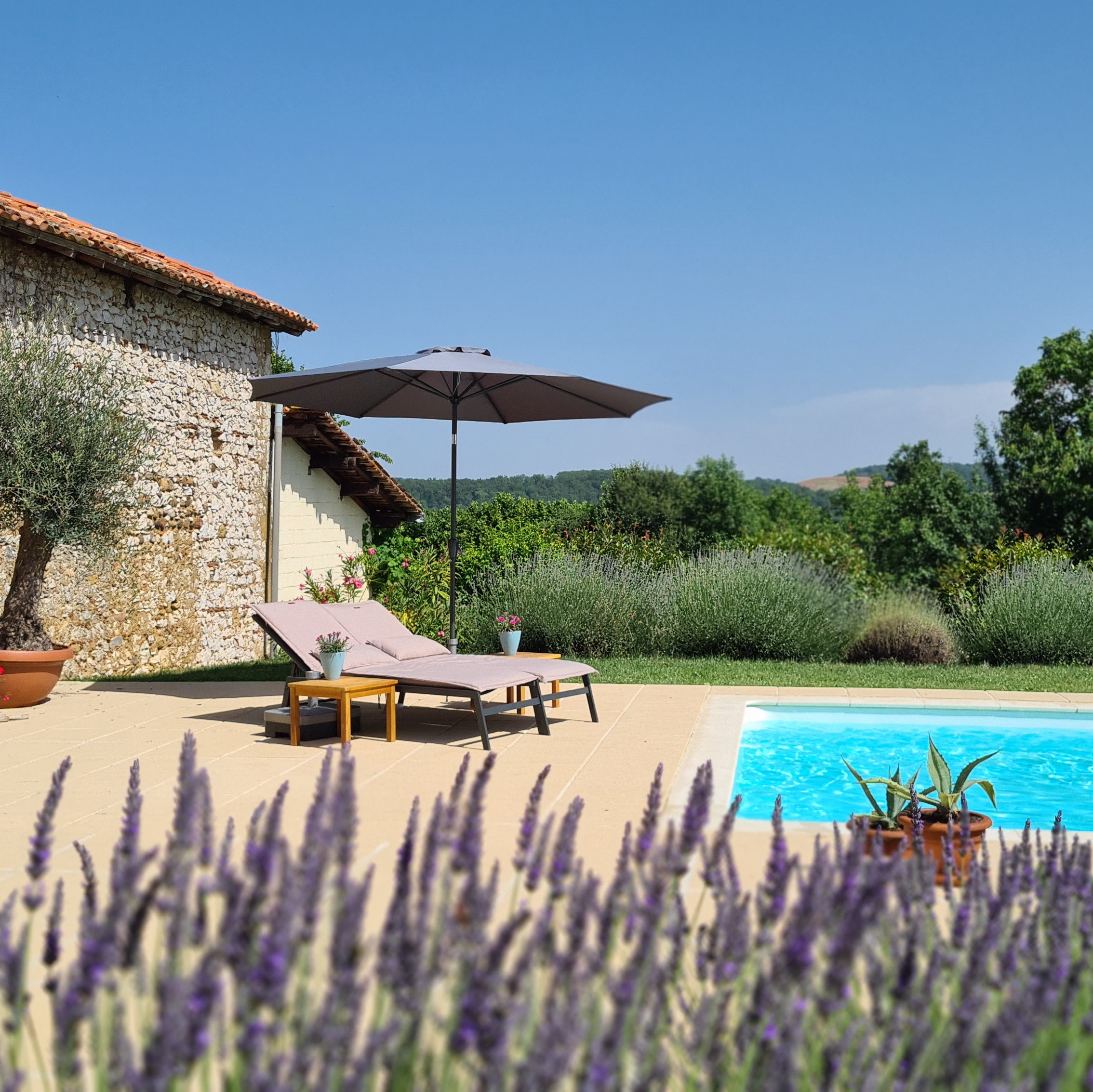 DOMAINE L'ARPENT, Saint-Loup-en-Comminges - photo 11