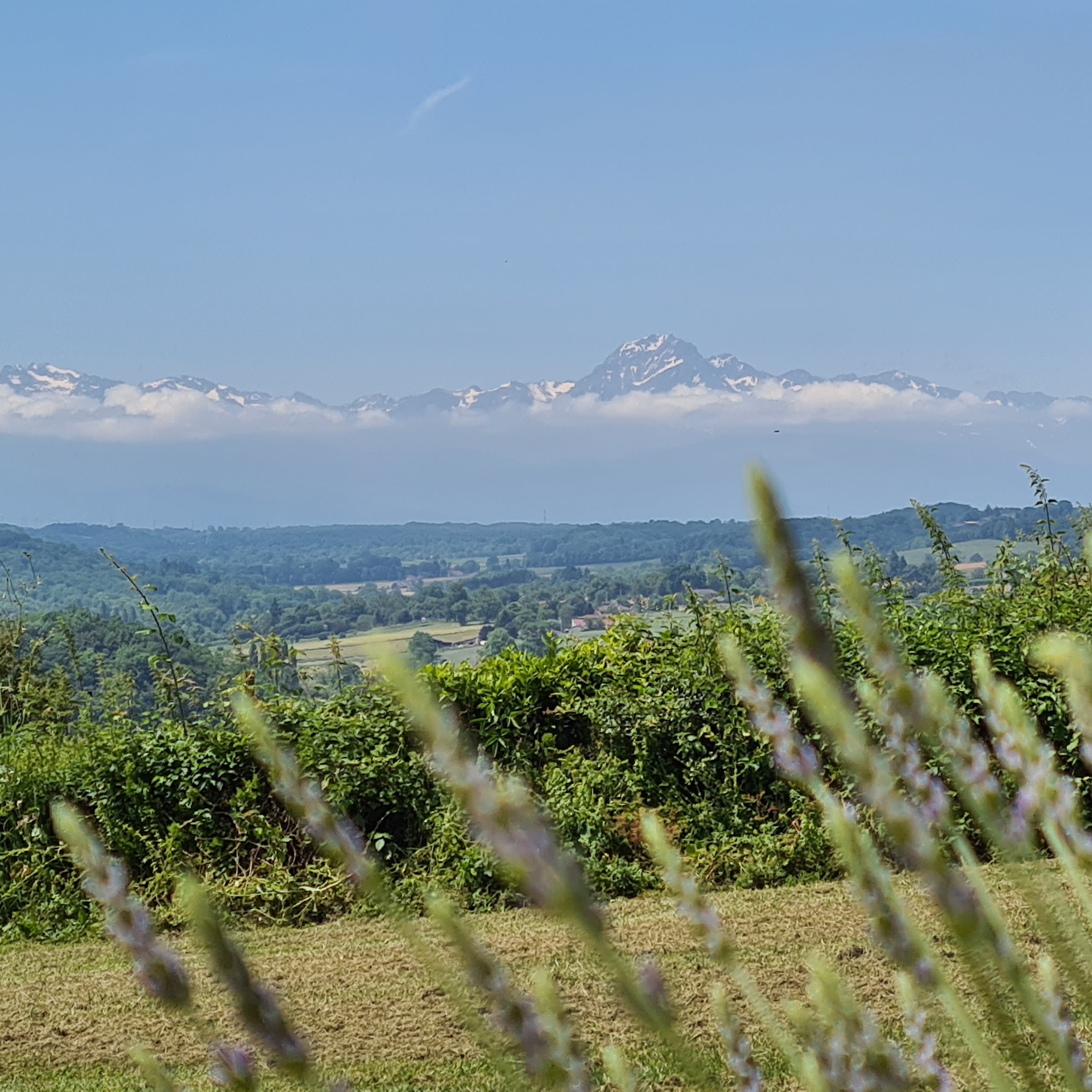 DOMAINE L'ARPENT, Saint-Loup-en-Comminges - photo 12