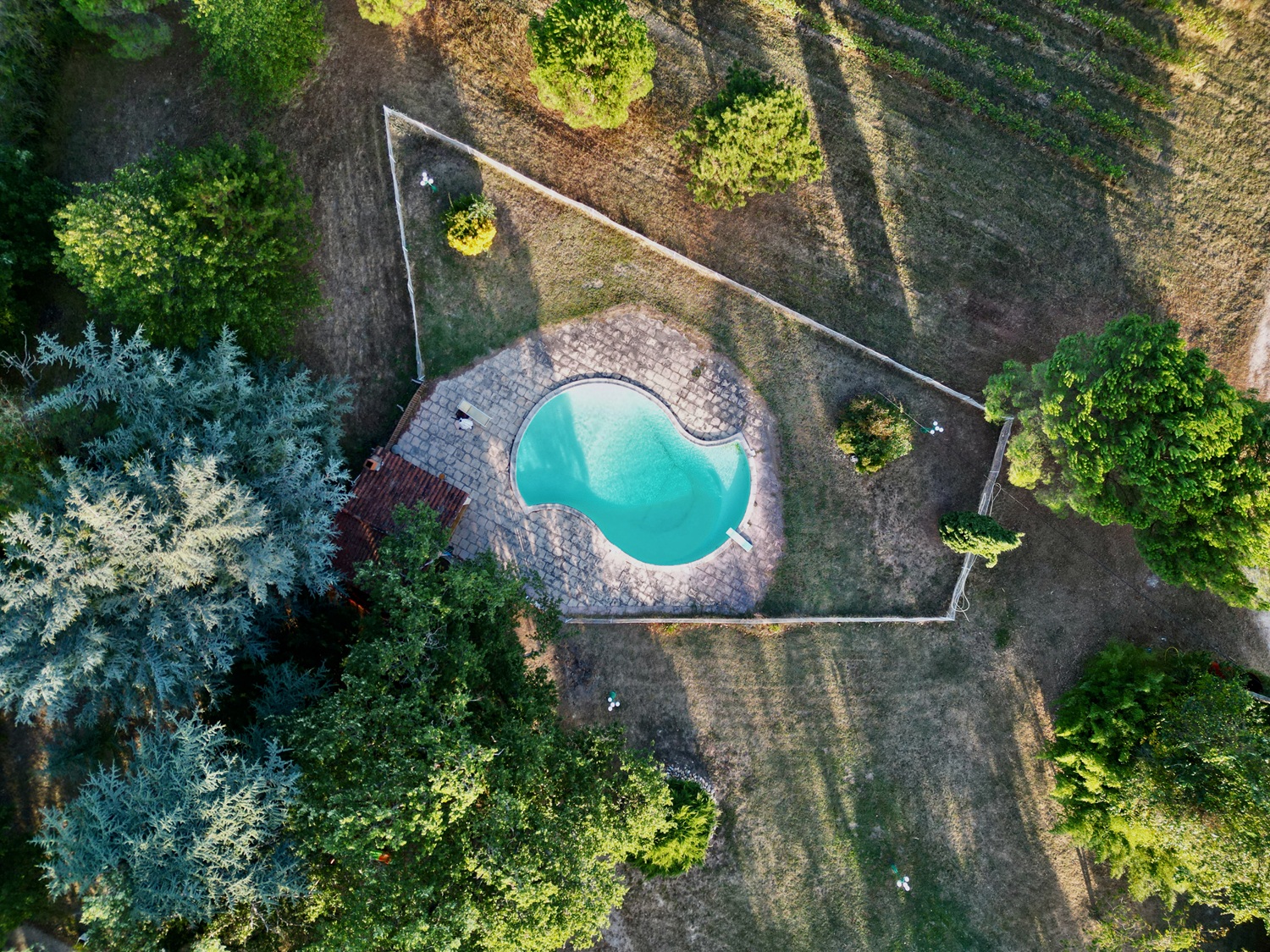 CHATEAU LA LOGE, Villematier - photo 4