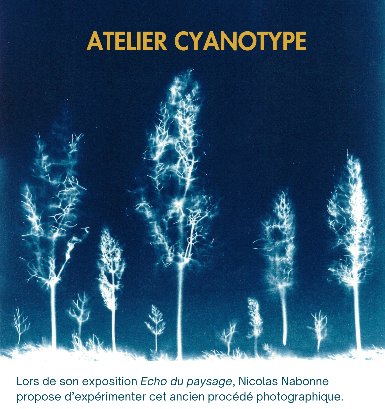 ATELIER CYANOTYPE