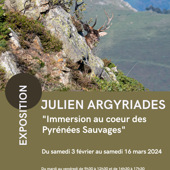 Exposition Julien ARGYRIADES - 1