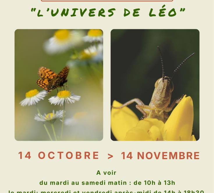 Exposition photos - 1