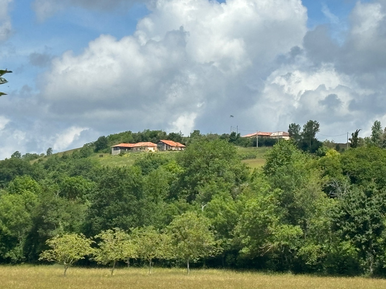 LE BERCAIL DU BERGER, Benque - photo 2