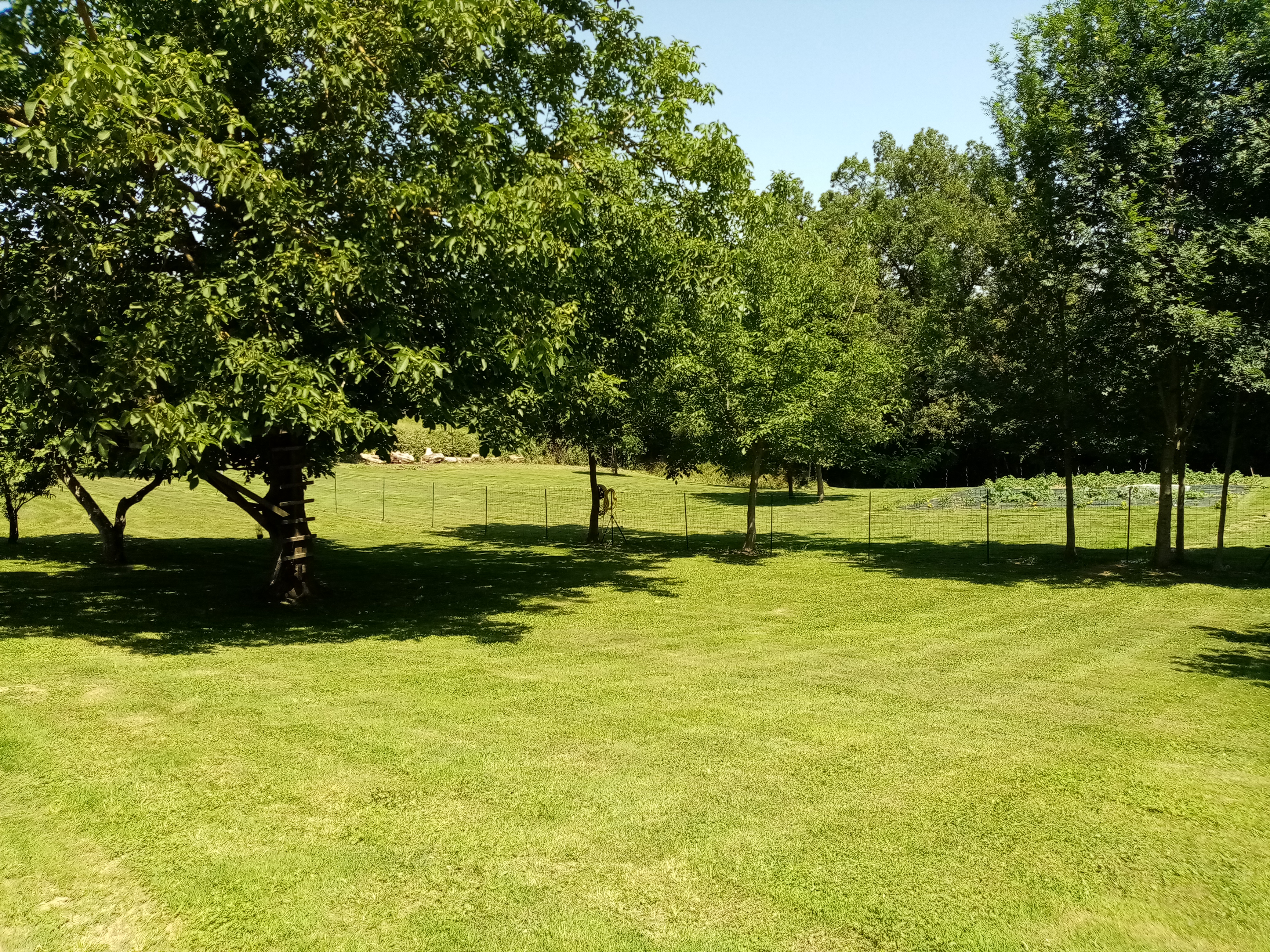 GÎTE CLAUROSE, Lilhac - photo 3