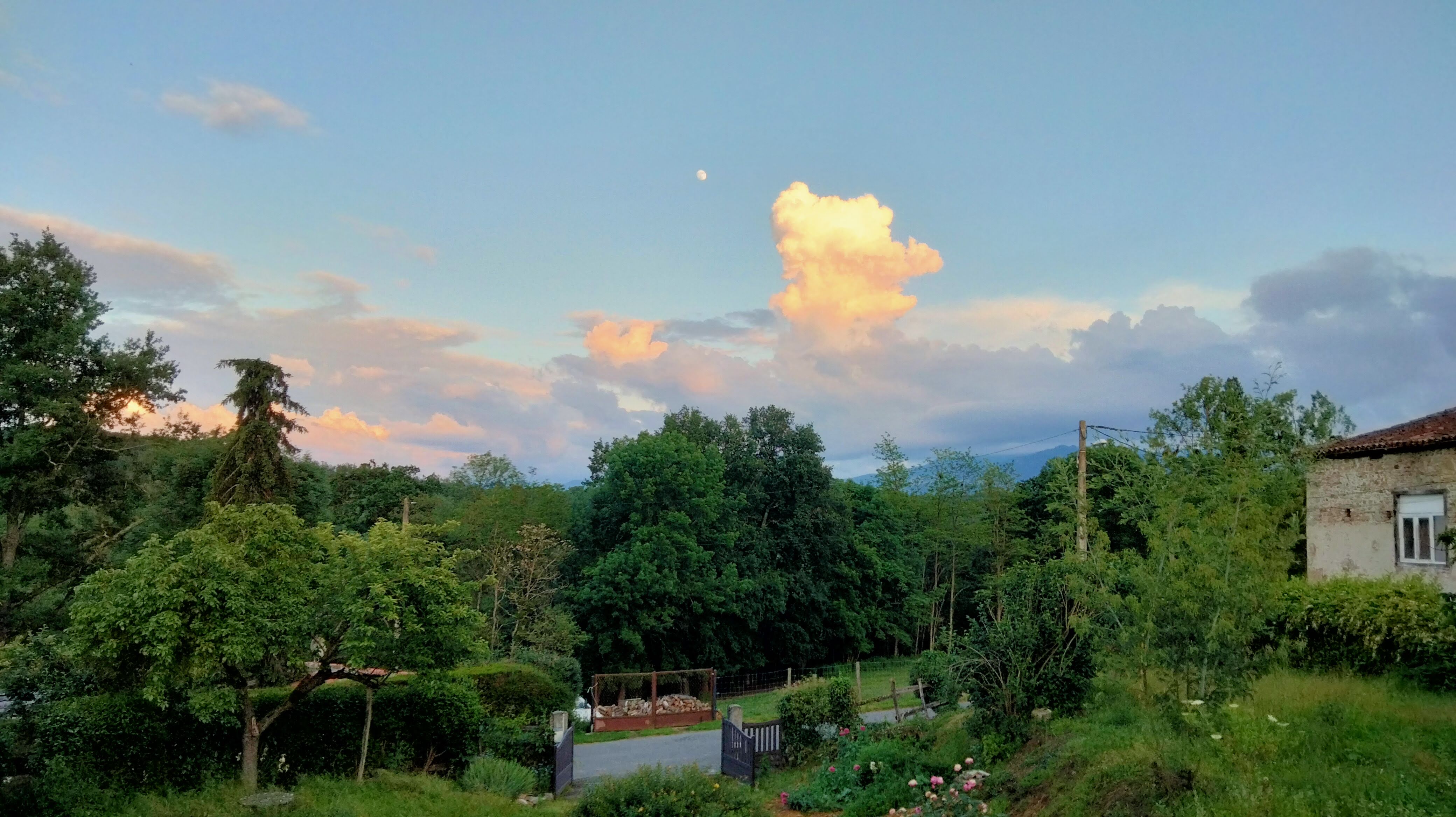 LE GITE DE LA LOUTRE, Pointis-Inard - photo 6