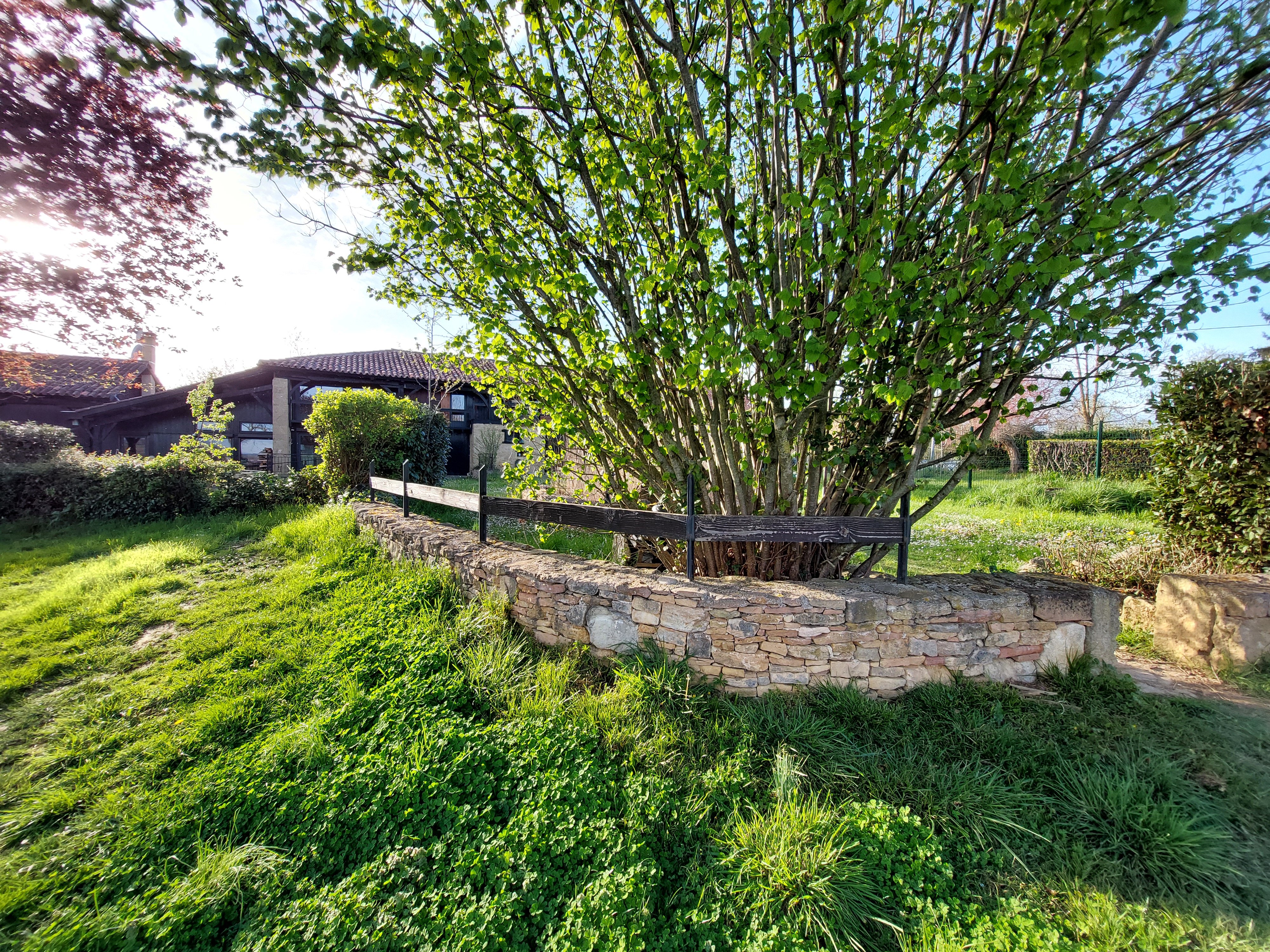 LE GITE DES COLLINES, Cassagnabère-Tournas - photo 3