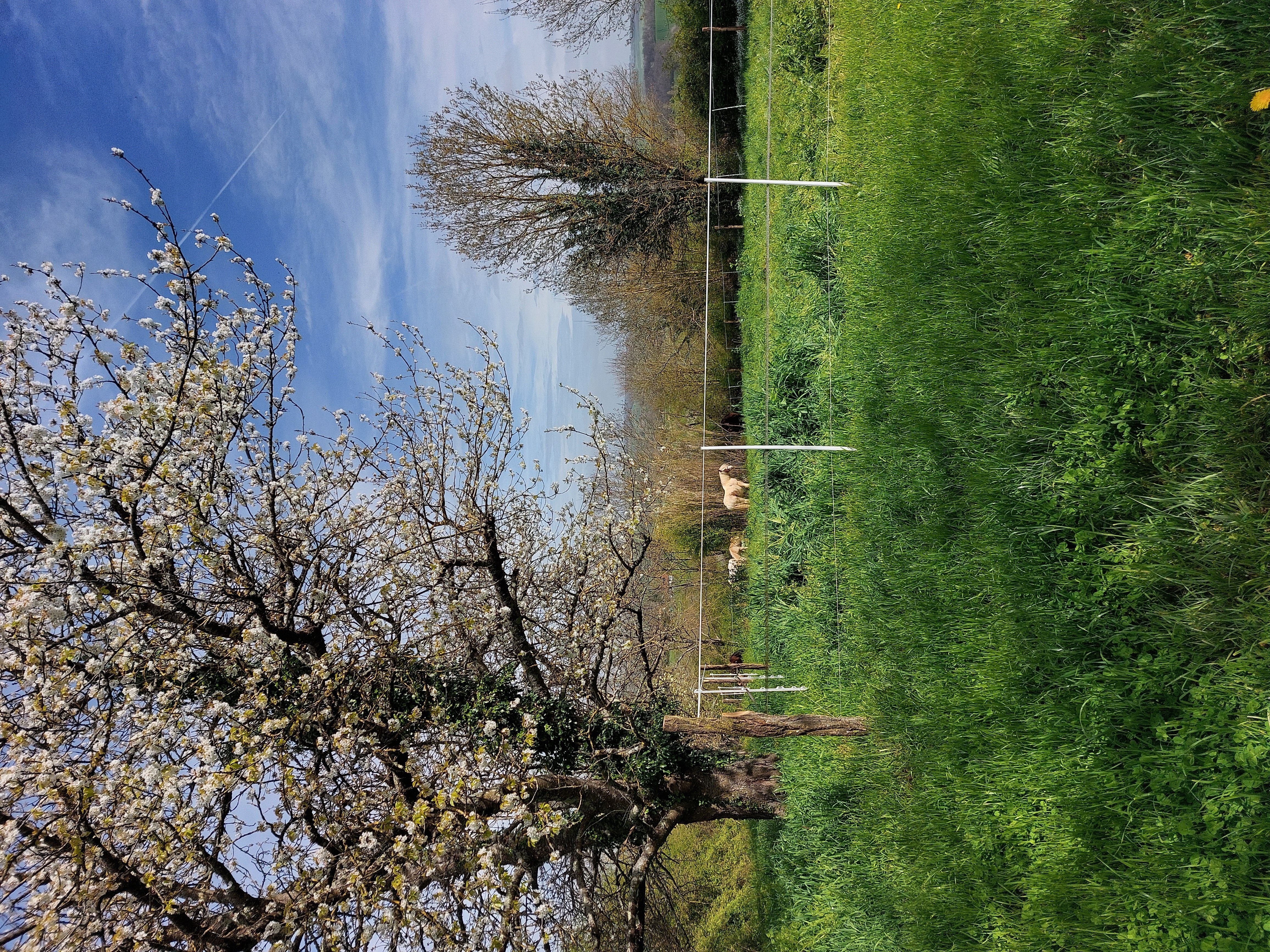 LE GITE DES COLLINES, Cassagnabère-Tournas - photo 7