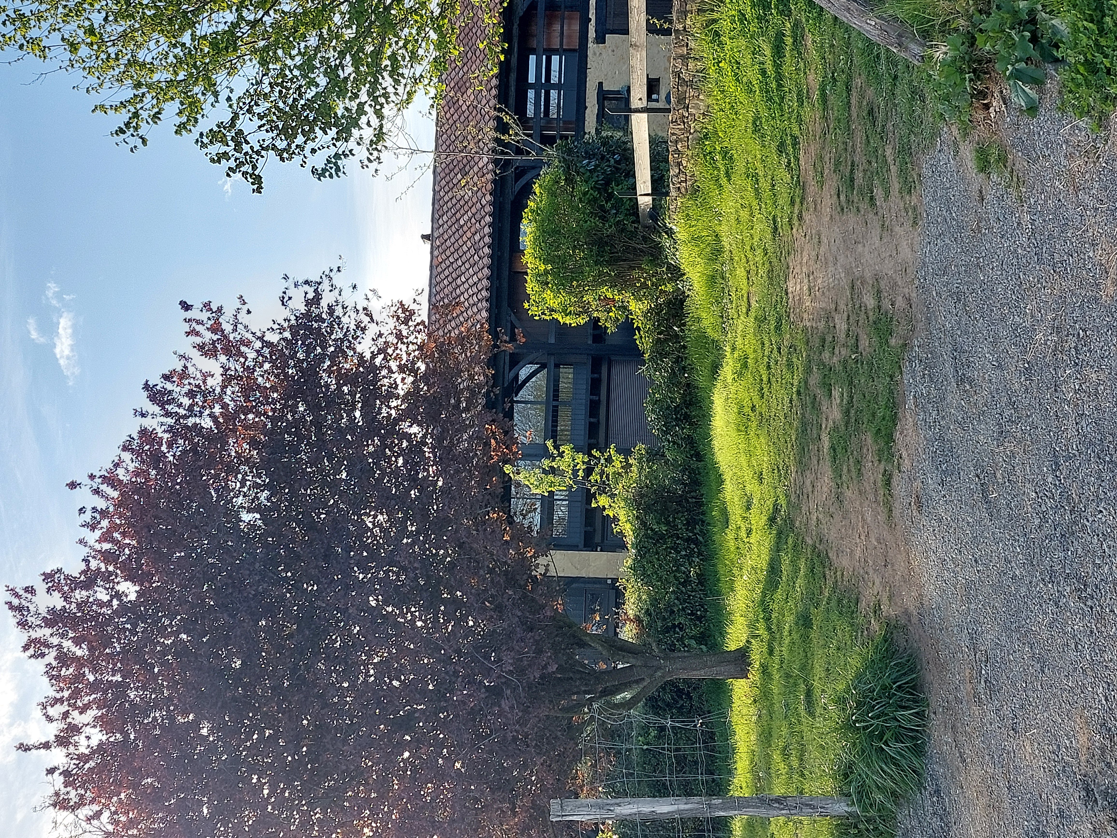 LE GITE DES COLLINES, Cassagnabère-Tournas - photo 14