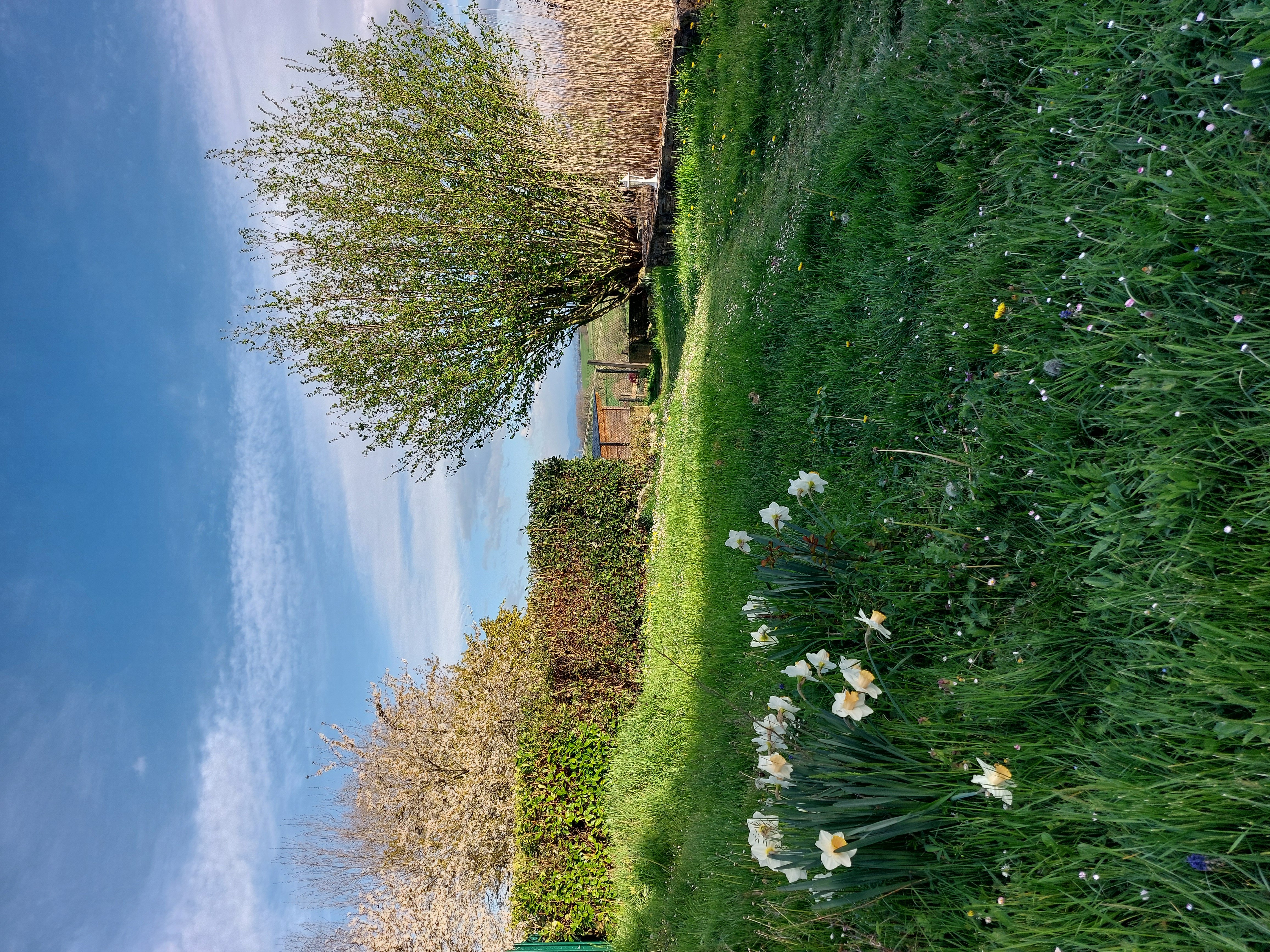 LE GITE DES COLLINES, Cassagnabère-Tournas - photo 5