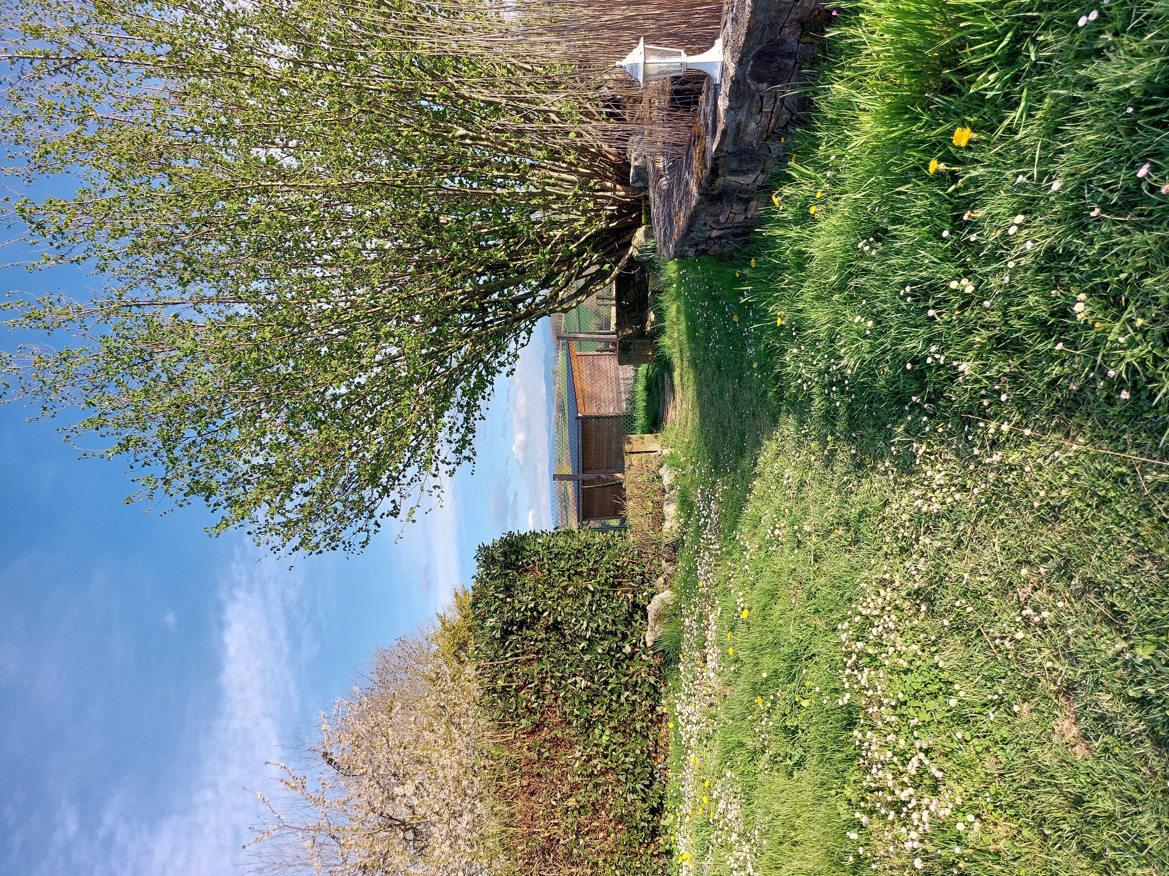 LE GITE DES COLLINES, Cassagnabère-Tournas - photo 17