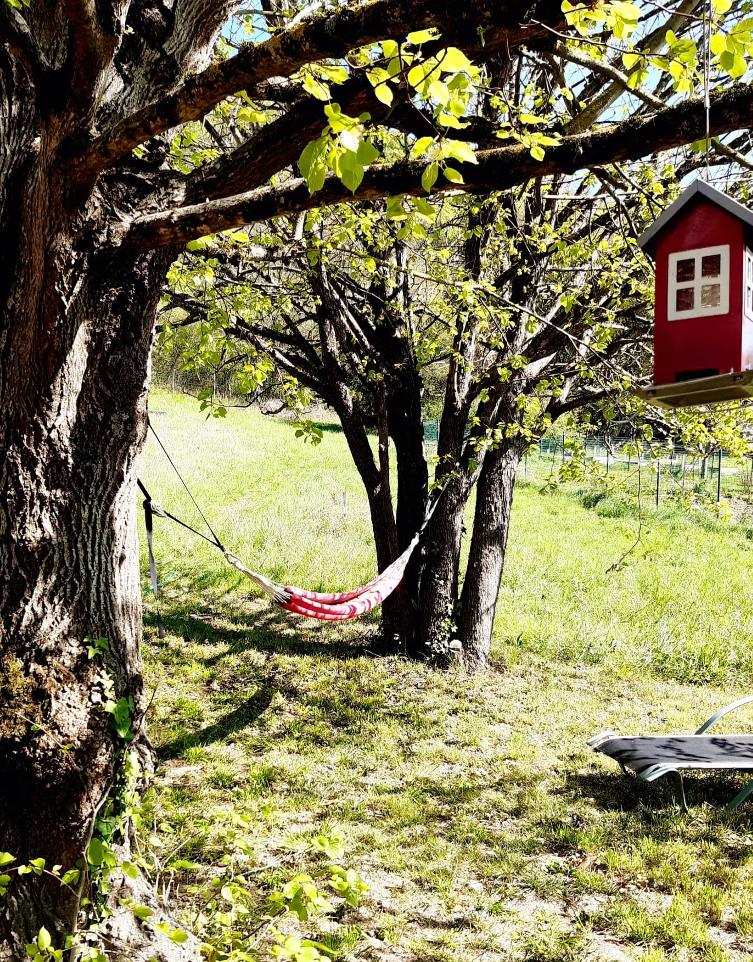 GITE L'ESQUIROU, Muret - photo 4