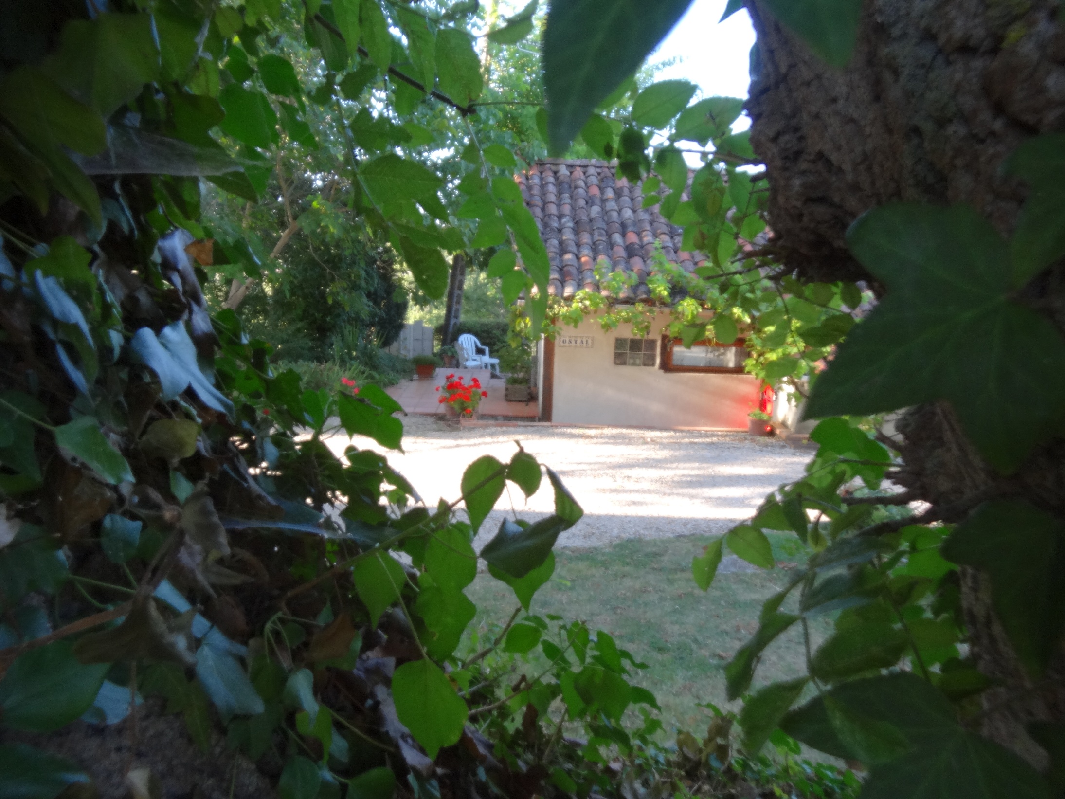 GITE L'OSTAL  GITE DE SEJOUR LA PAGUERE, Mauvezin - photo 6