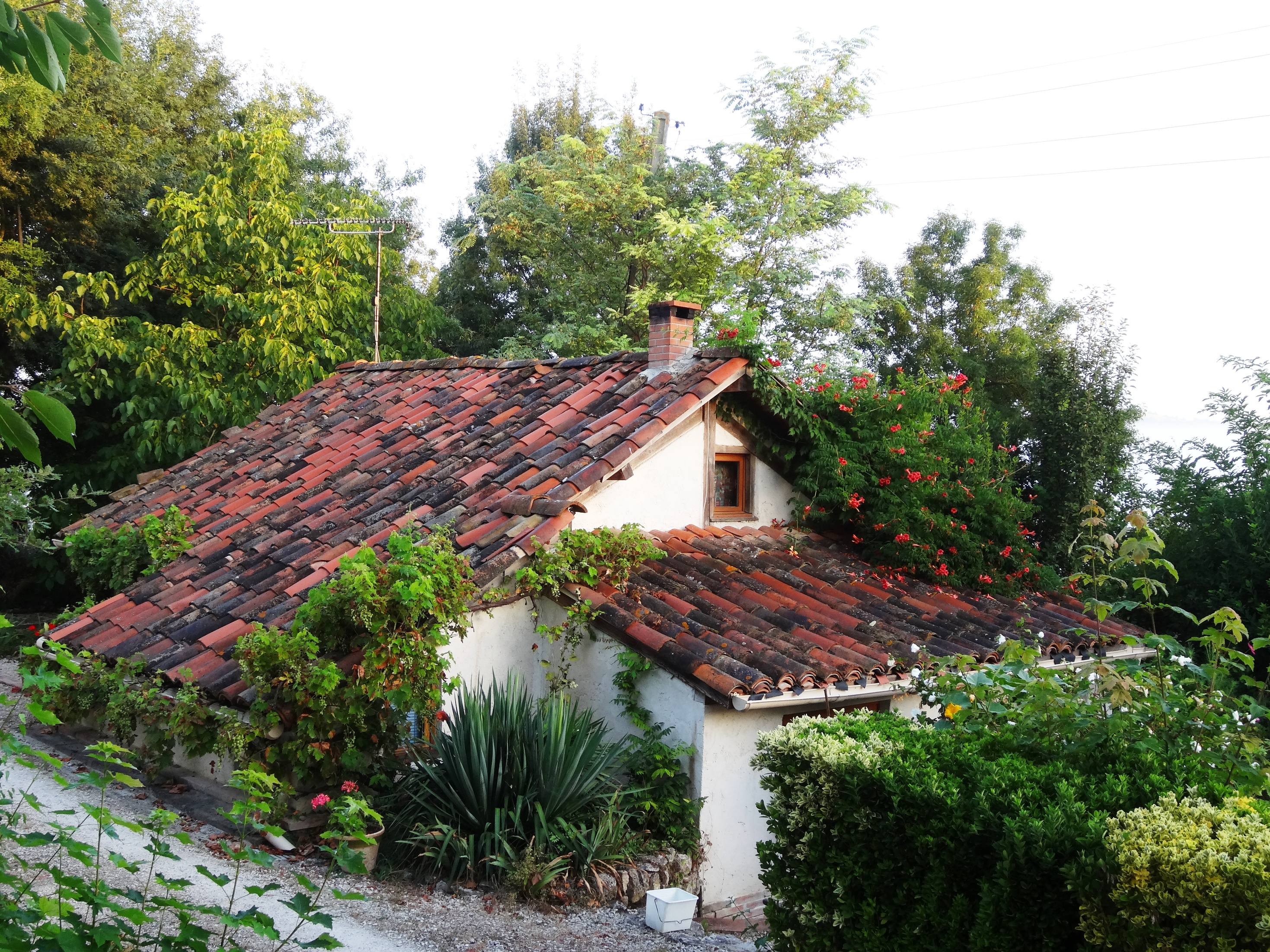 GITE L'OSTAL  GITE DE SEJOUR LA PAGUERE, Mauvezin - photo 15