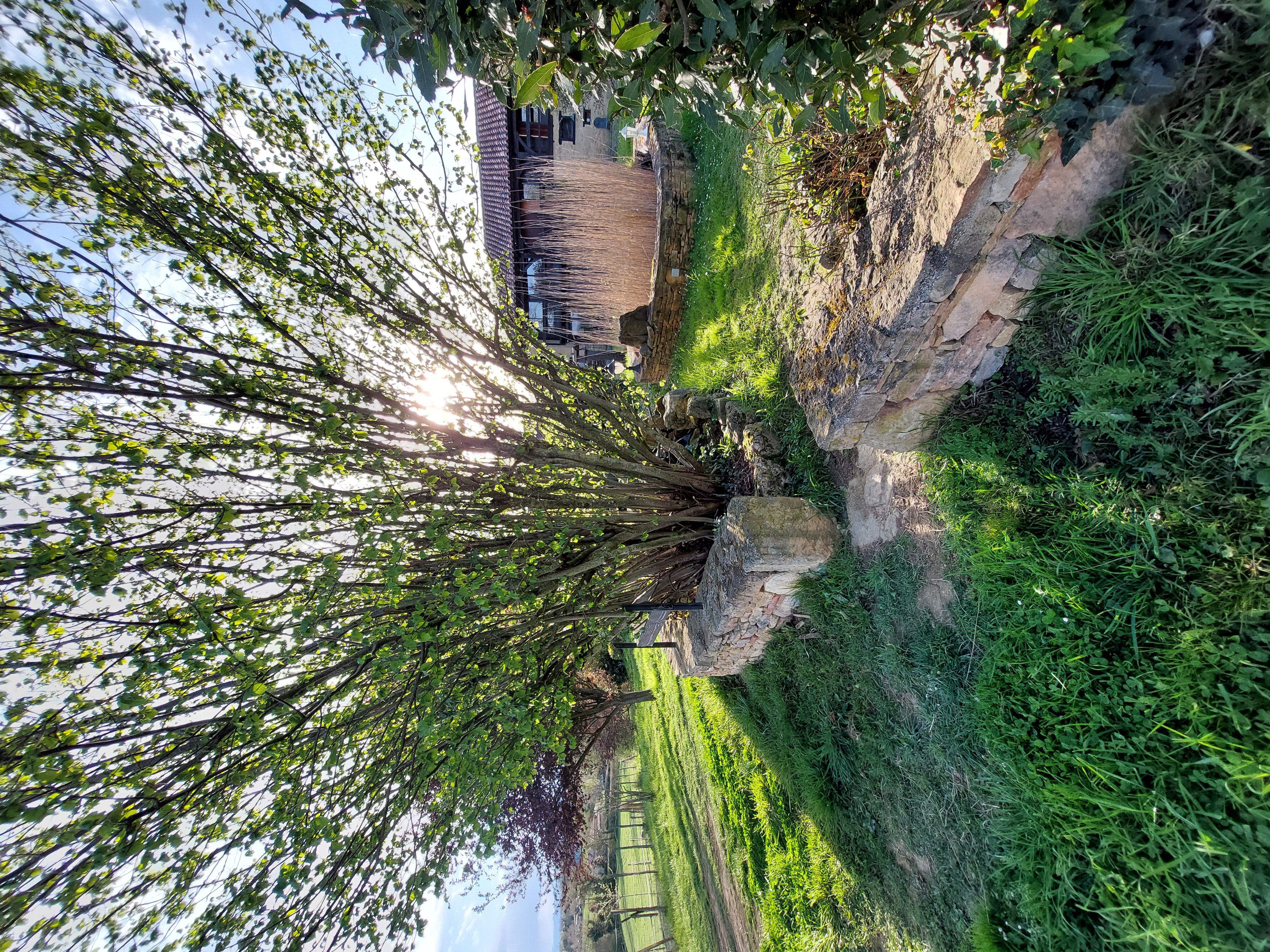 LE GITE DES COLLINES, Cassagnabère-Tournas - photo 2