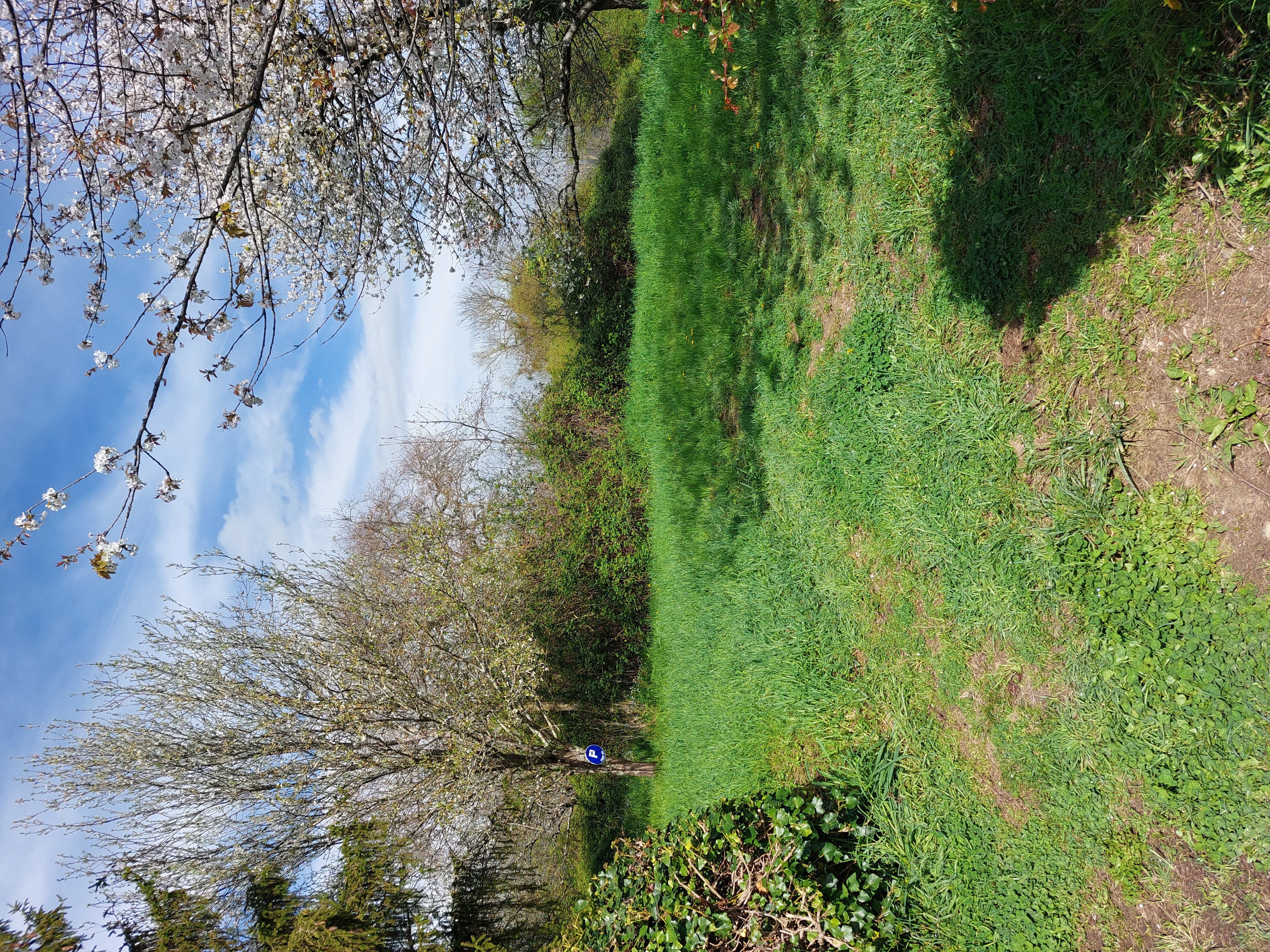 LE GITE DES COLLINES - photo 3