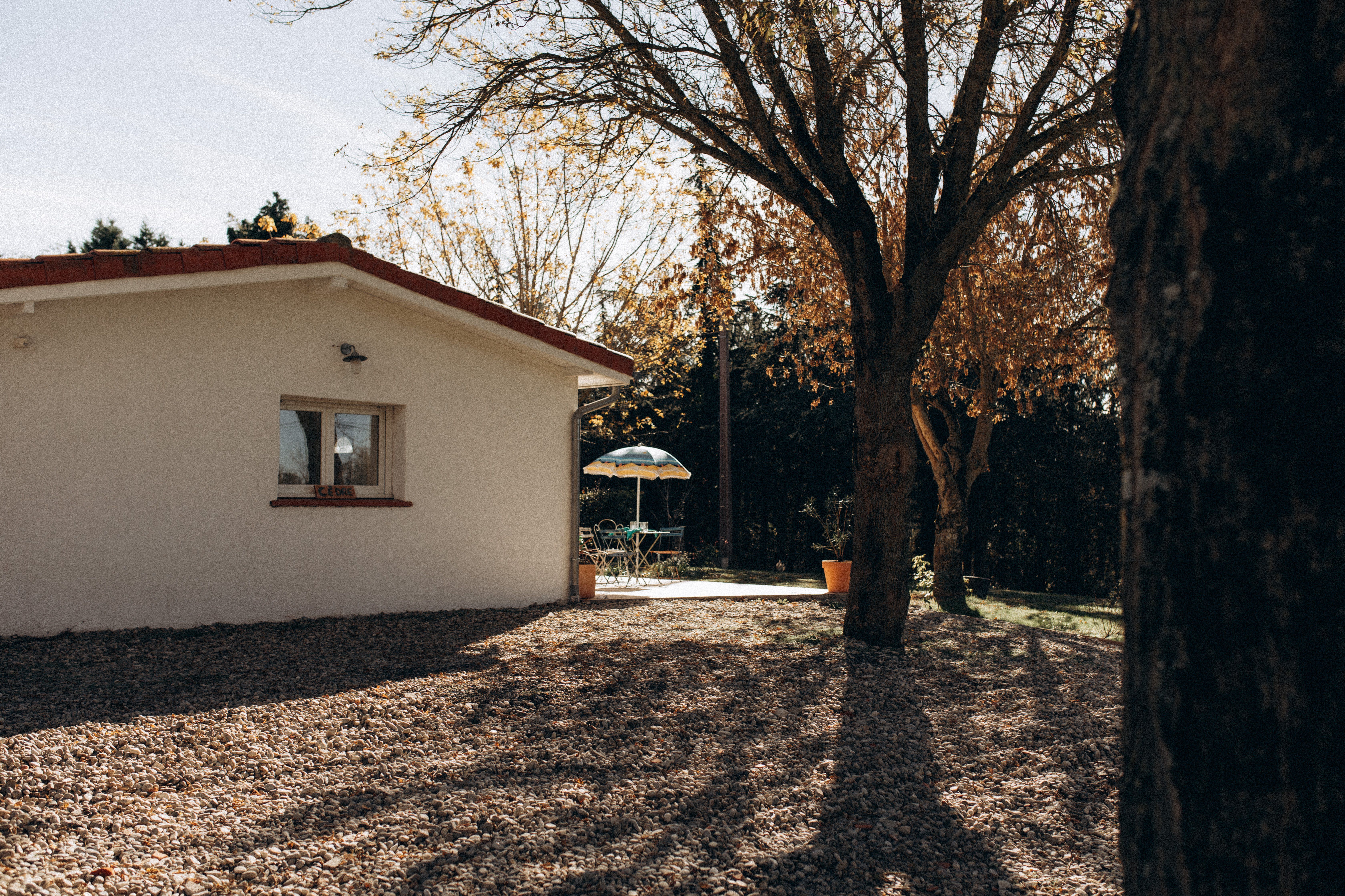 MAS CANTEGRIL - GITE CEDRE, Montesquieu-Lauragais - photo 4