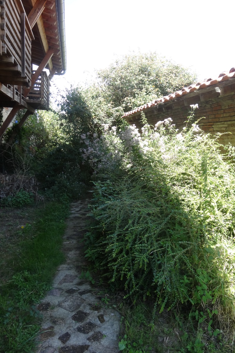 GITE DE CARACTERE AUX PORTES DE TOULOUSE, Montbrun-Lauragais - photo 2