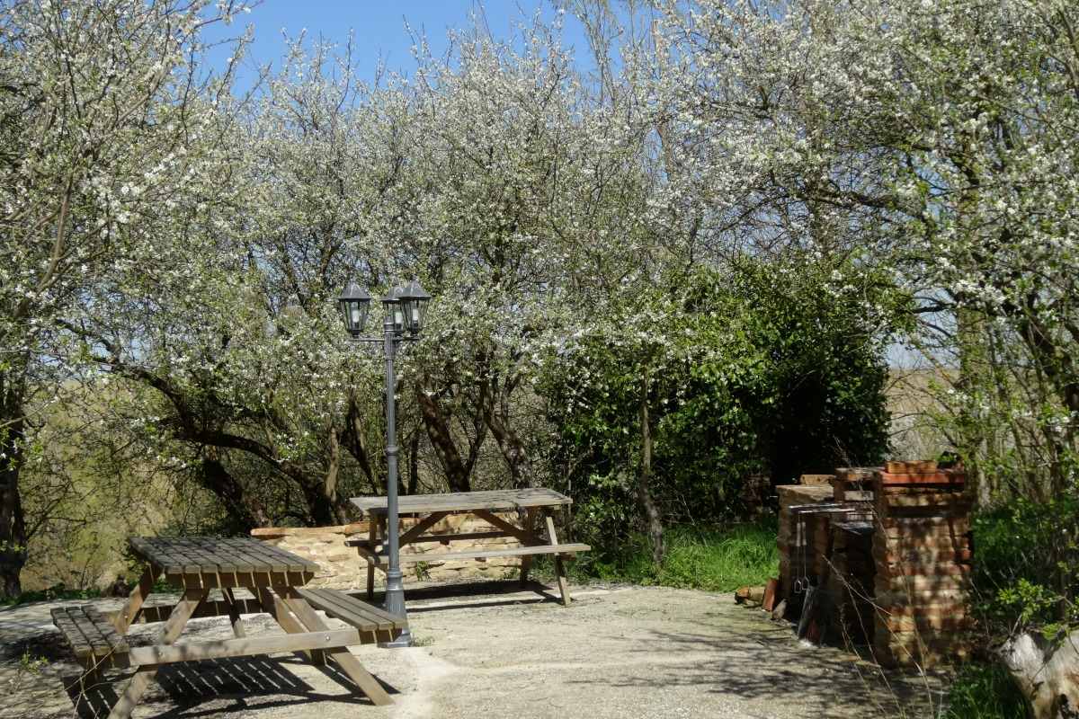 GITE DE CARACTERE AUX PORTES DE TOULOUSE, Montbrun-Lauragais - photo 29