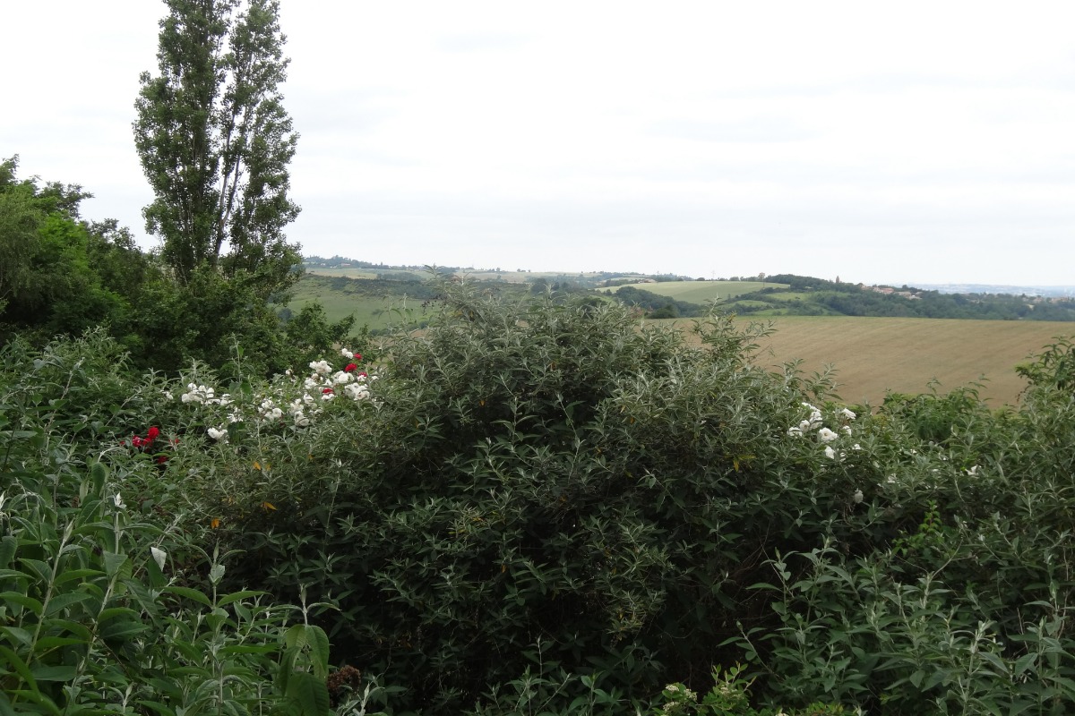 GITE DE CARACTERE AUX PORTES DE TOULOUSE, Montbrun-Lauragais - photo 17
