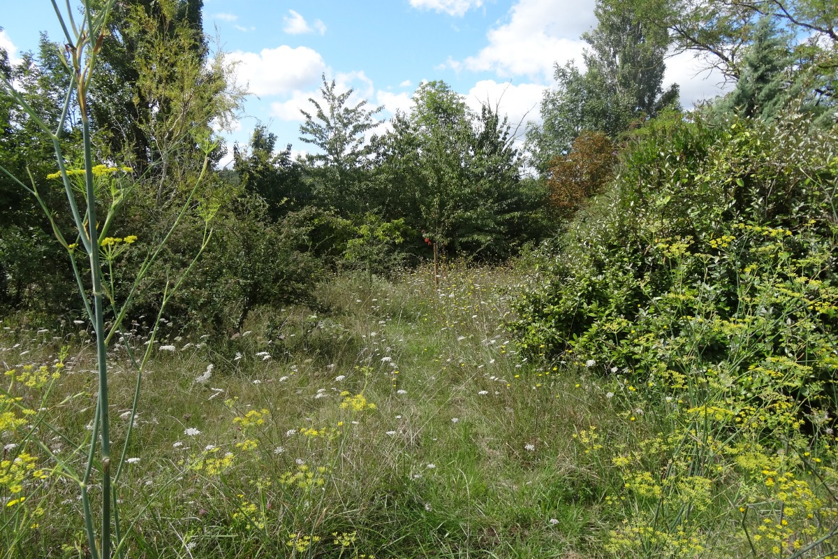 GITE DE CARACTERE AUX PORTES DE TOULOUSE, Montbrun-Lauragais - photo 10
