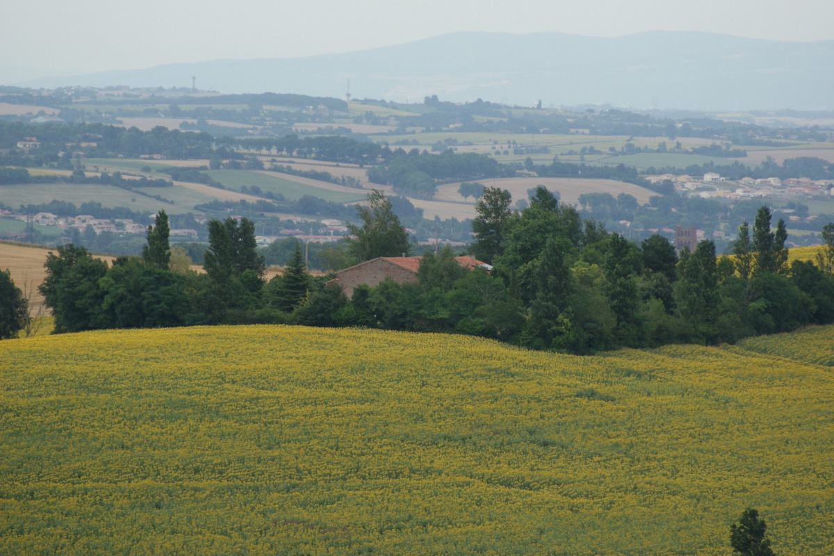GITE DE CARACTERE AUX PORTES DE TOULOUSE, Montbrun-Lauragais