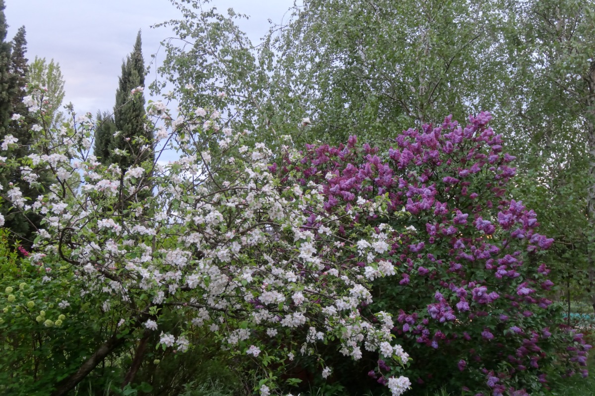 GITE DE CARACTERE AUX PORTES DE TOULOUSE, Montbrun-Lauragais - photo 15