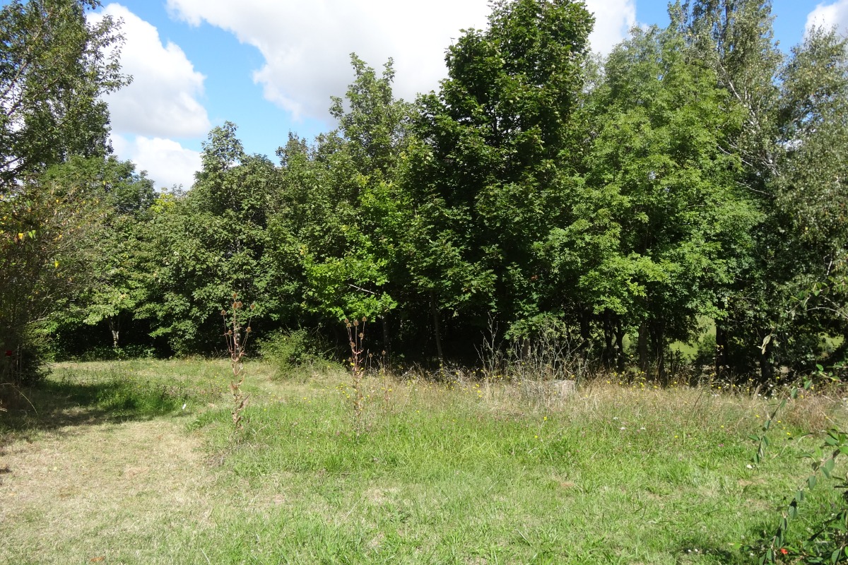 GITE DE CARACTERE AUX PORTES DE TOULOUSE, Montbrun-Lauragais - photo 5