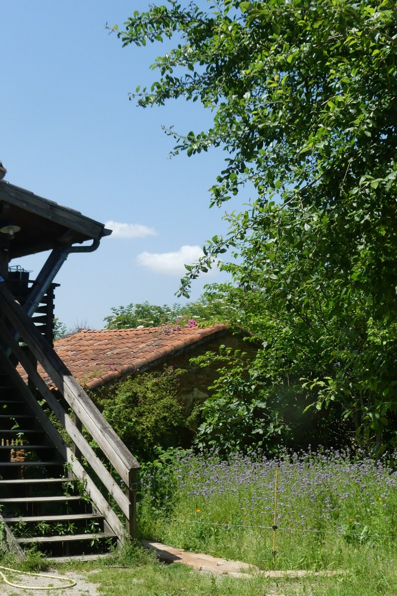 GITE DE CARACTERE AUX PORTES DE TOULOUSE, Montbrun-Lauragais - photo 14