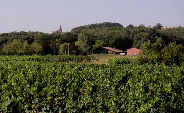 STUDIO A VACQUIERS, Vacquiers - photo 8