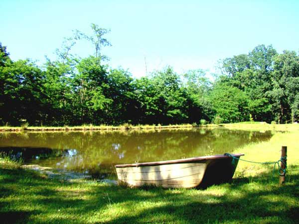 STUDIO A VACQUIERS, Vacquiers - photo 5