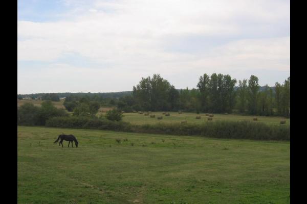HLOMIP031NO01561_14