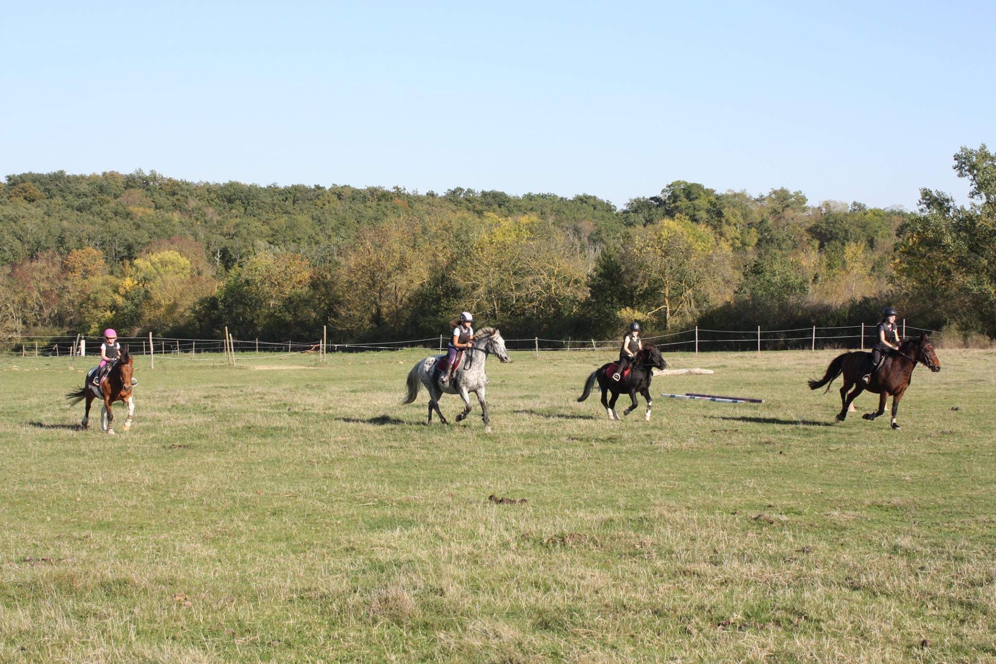 STAGE EQUESTRE, MONTAIGUT-SUR-SAVE