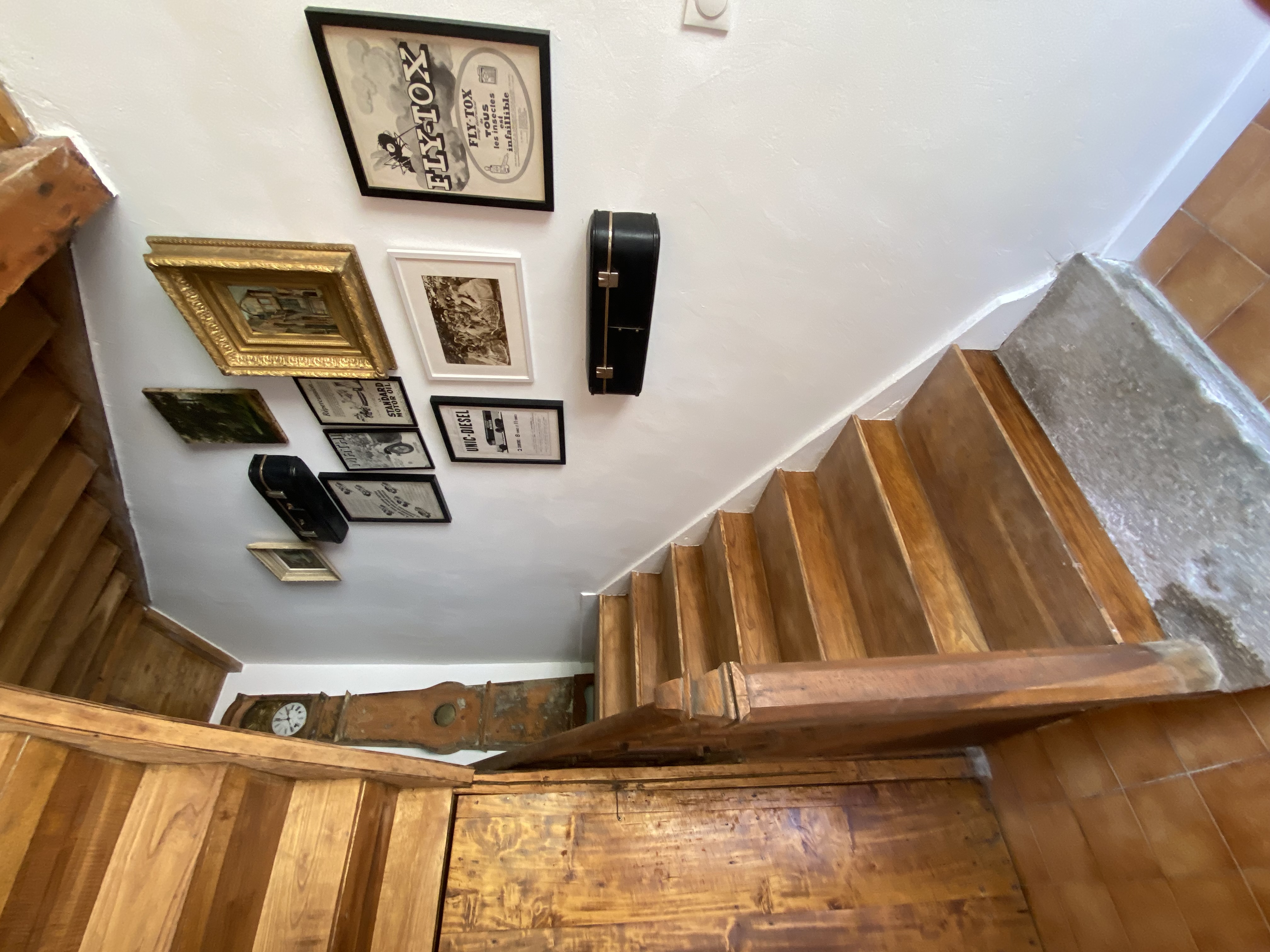 GITE LE DAHU DU CAGIRE, Arguenos - photo 13