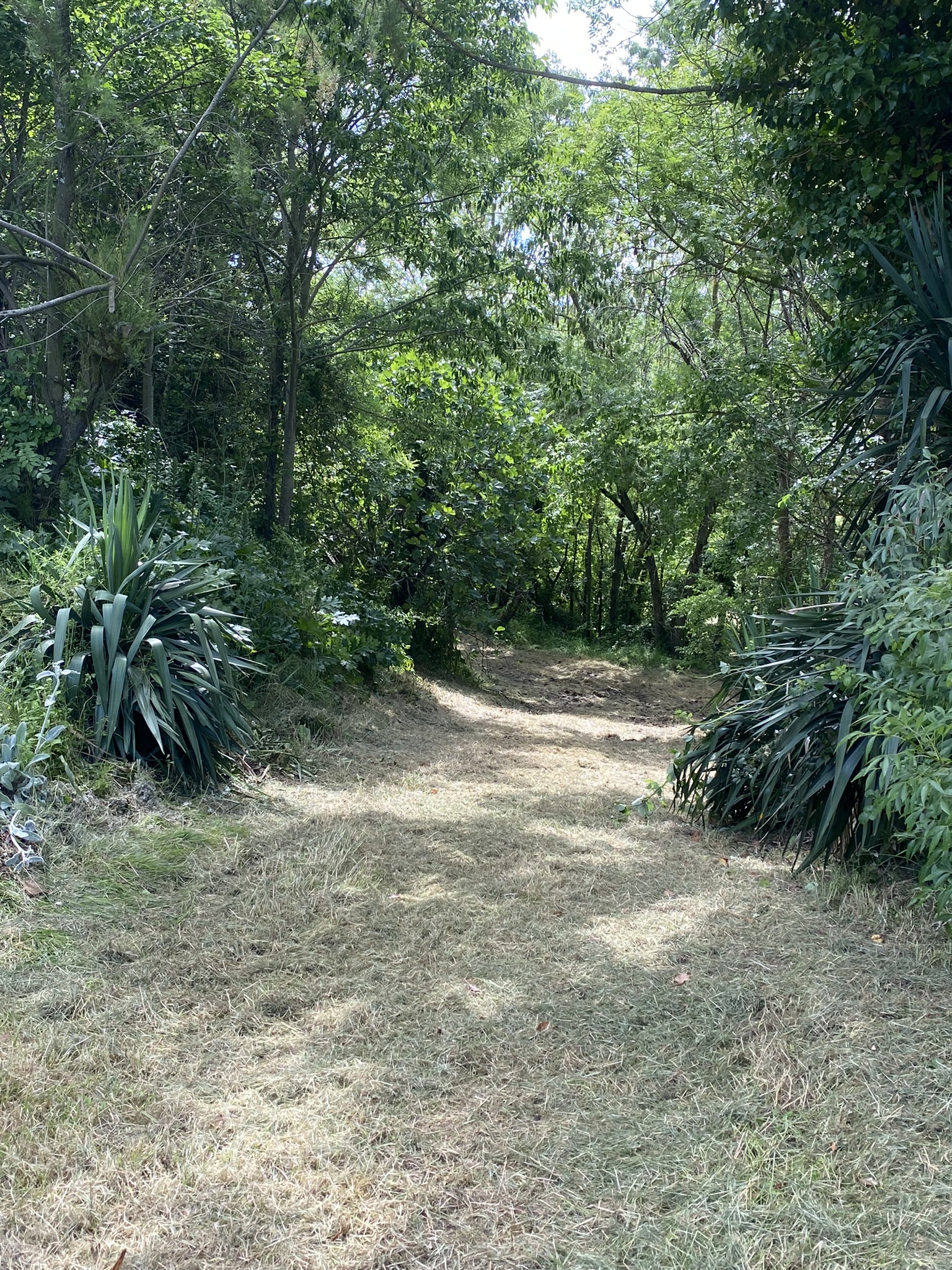 LE CHALET DE LA GESTERE - photo 4