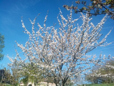 LE CHALET DE LA GESTERE, Ambax - photo 14