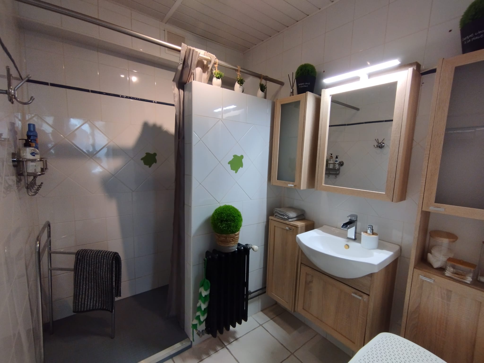 HÔME DU SALAT, Salies-du-Salat - photo 8