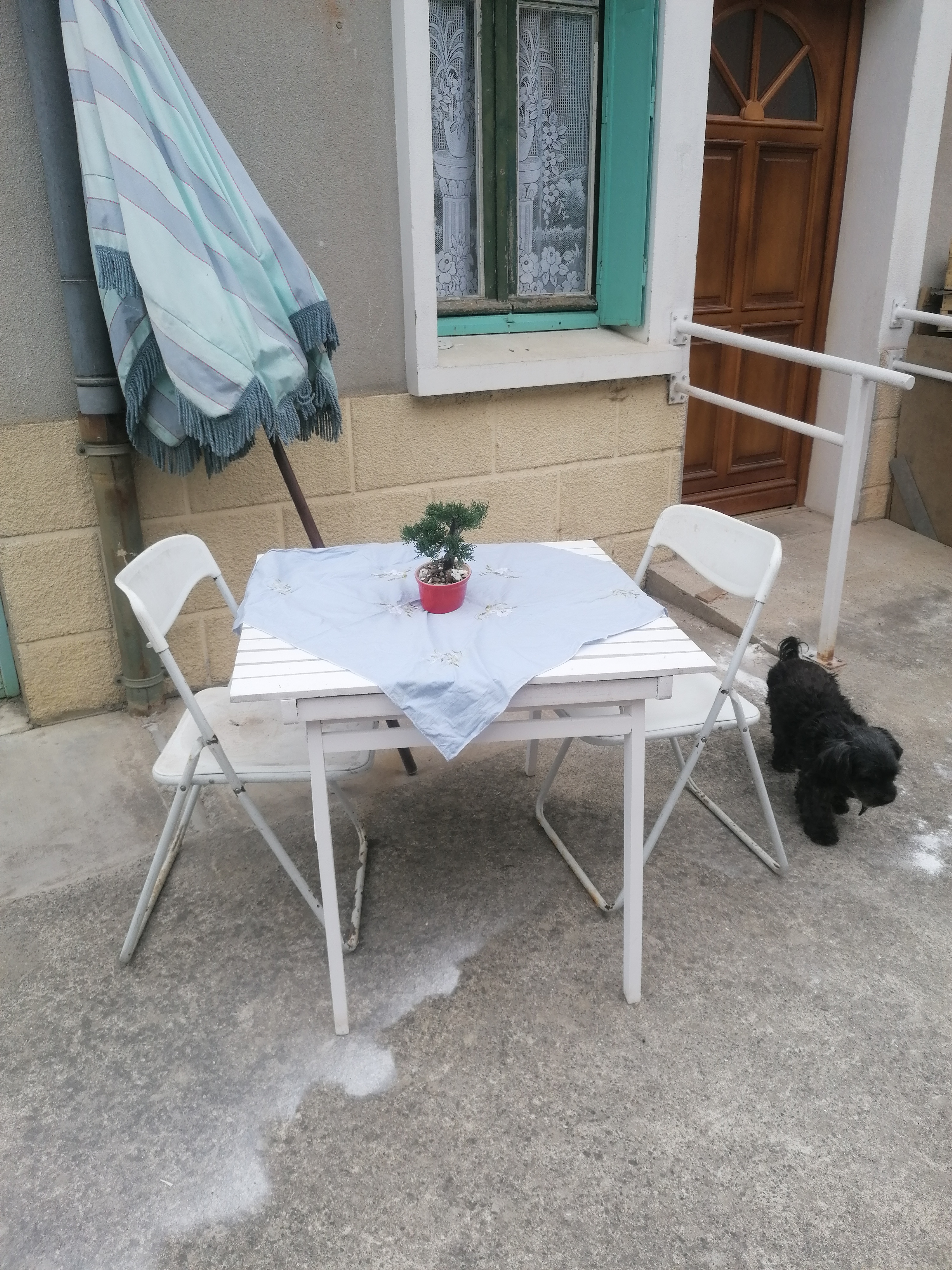 CHEZ MARYSE, L'Isle-en-Dodon - photo 5