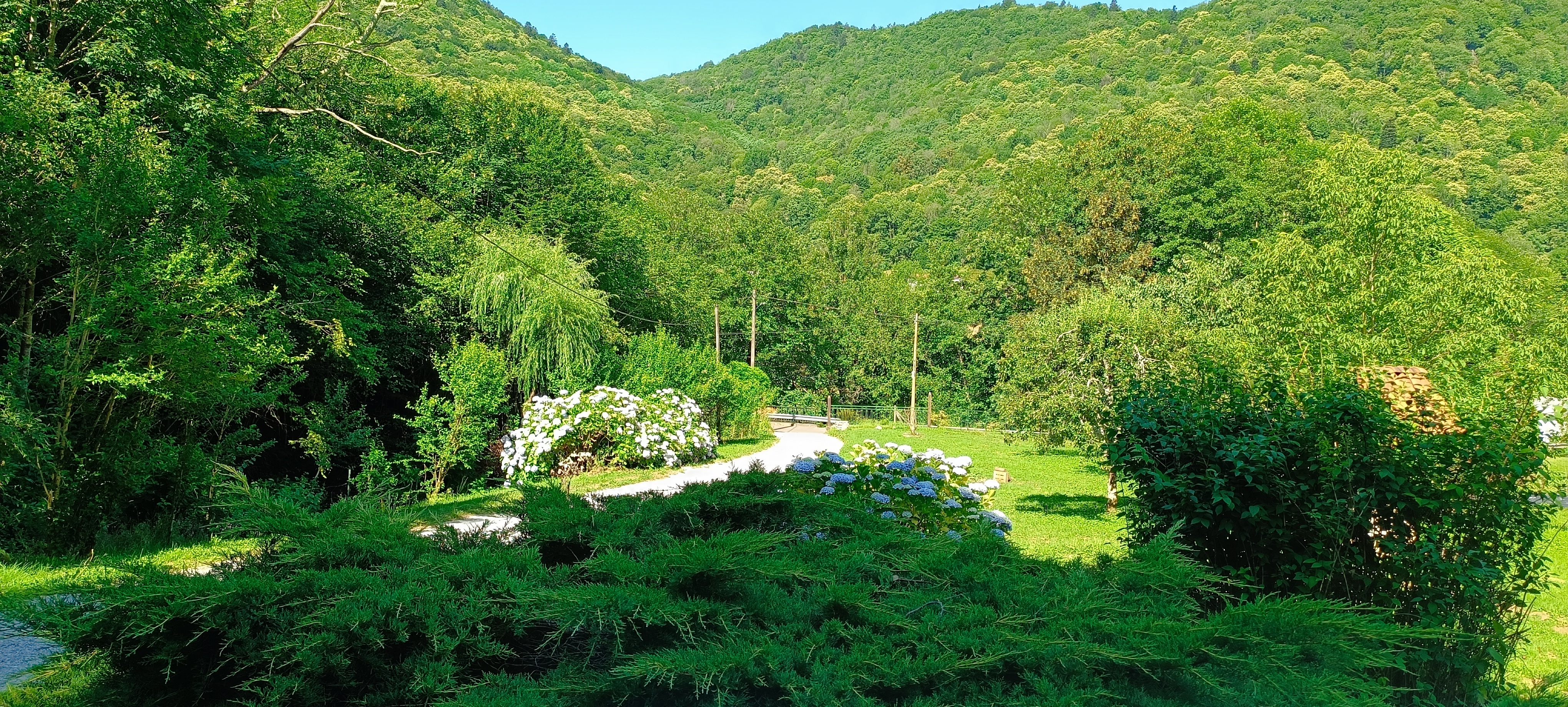 LE VILLAGE CHAMPIGNONS, Aspet - photo 3