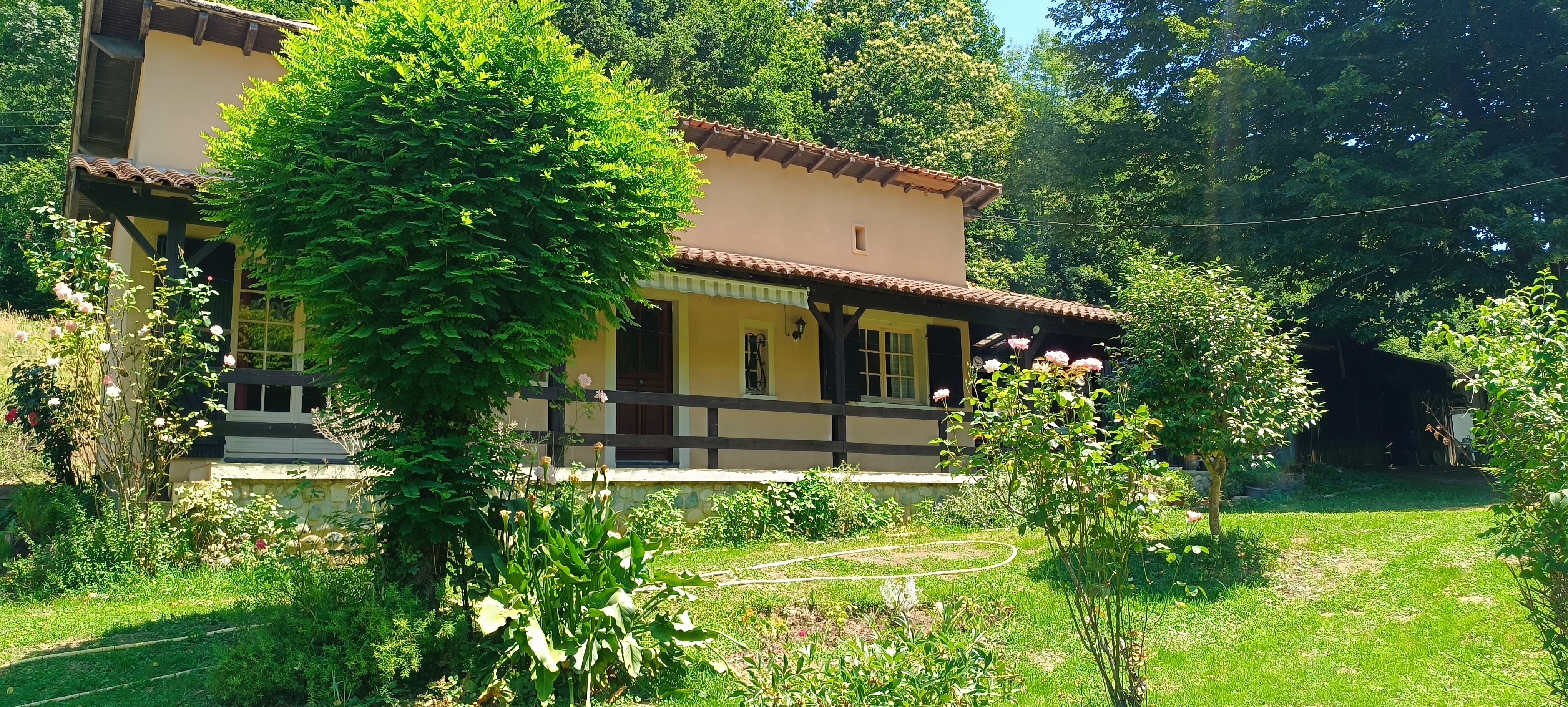 LE VILLAGE CHAMPIGNONS