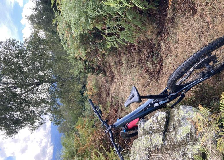 G'VTT