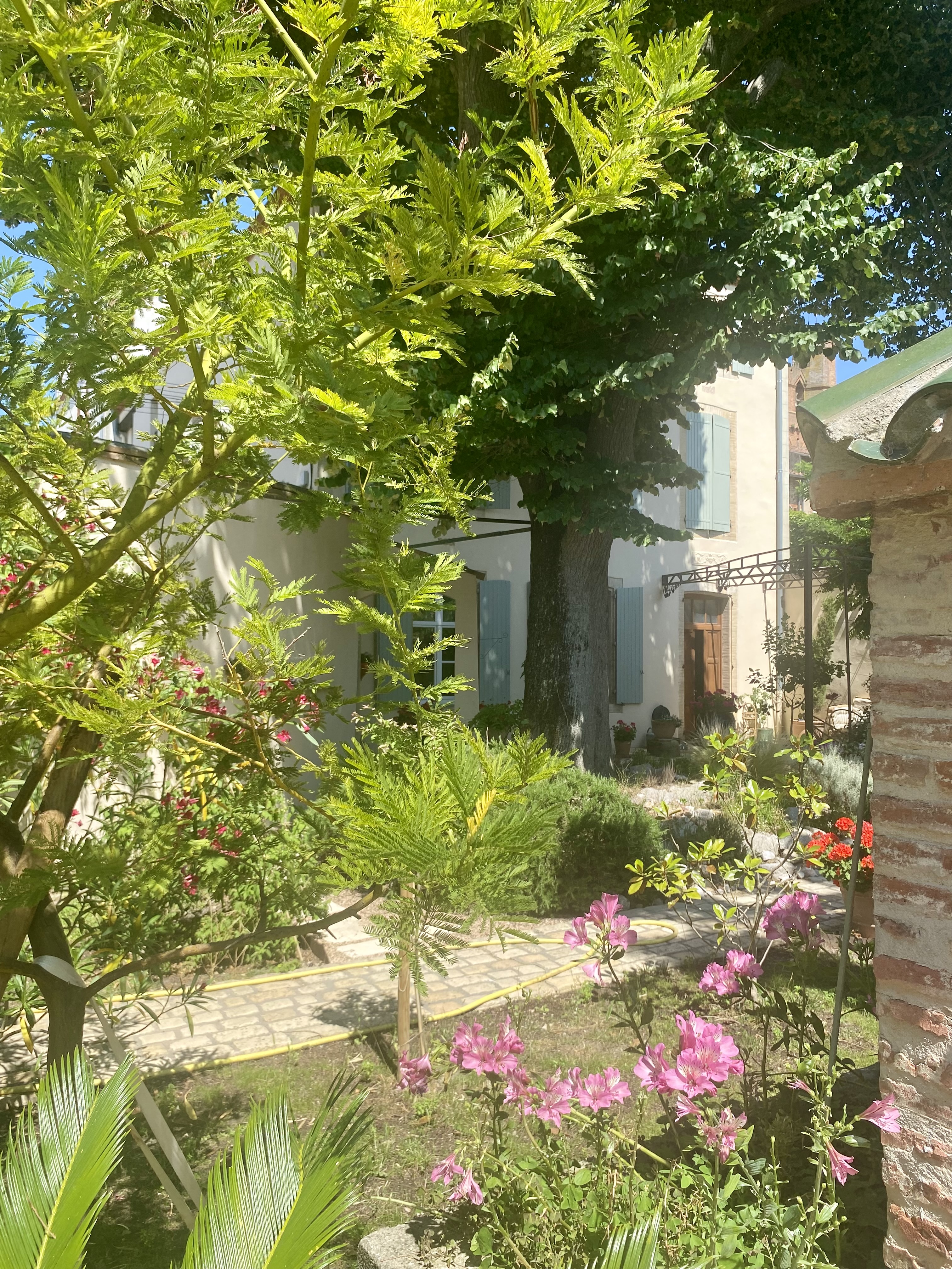 LES GITES DU TILLEUL, Villefranche-de-Lauragais - photo 6