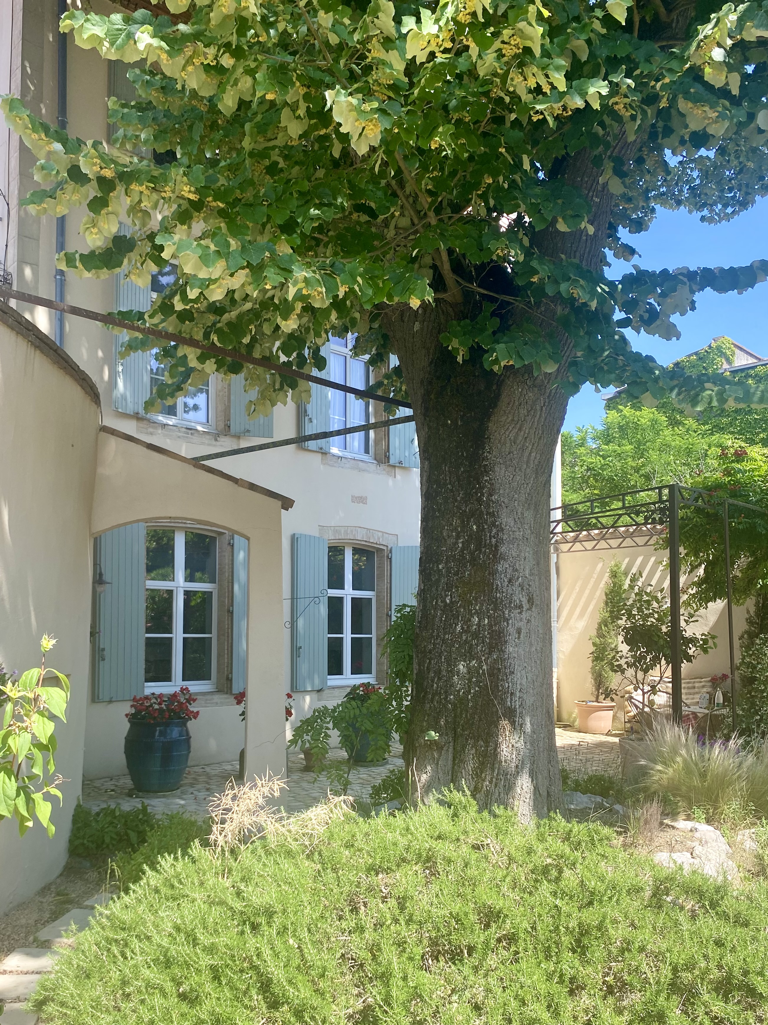 LES GITES DU TILLEUL, Villefranche-de-Lauragais - photo 8