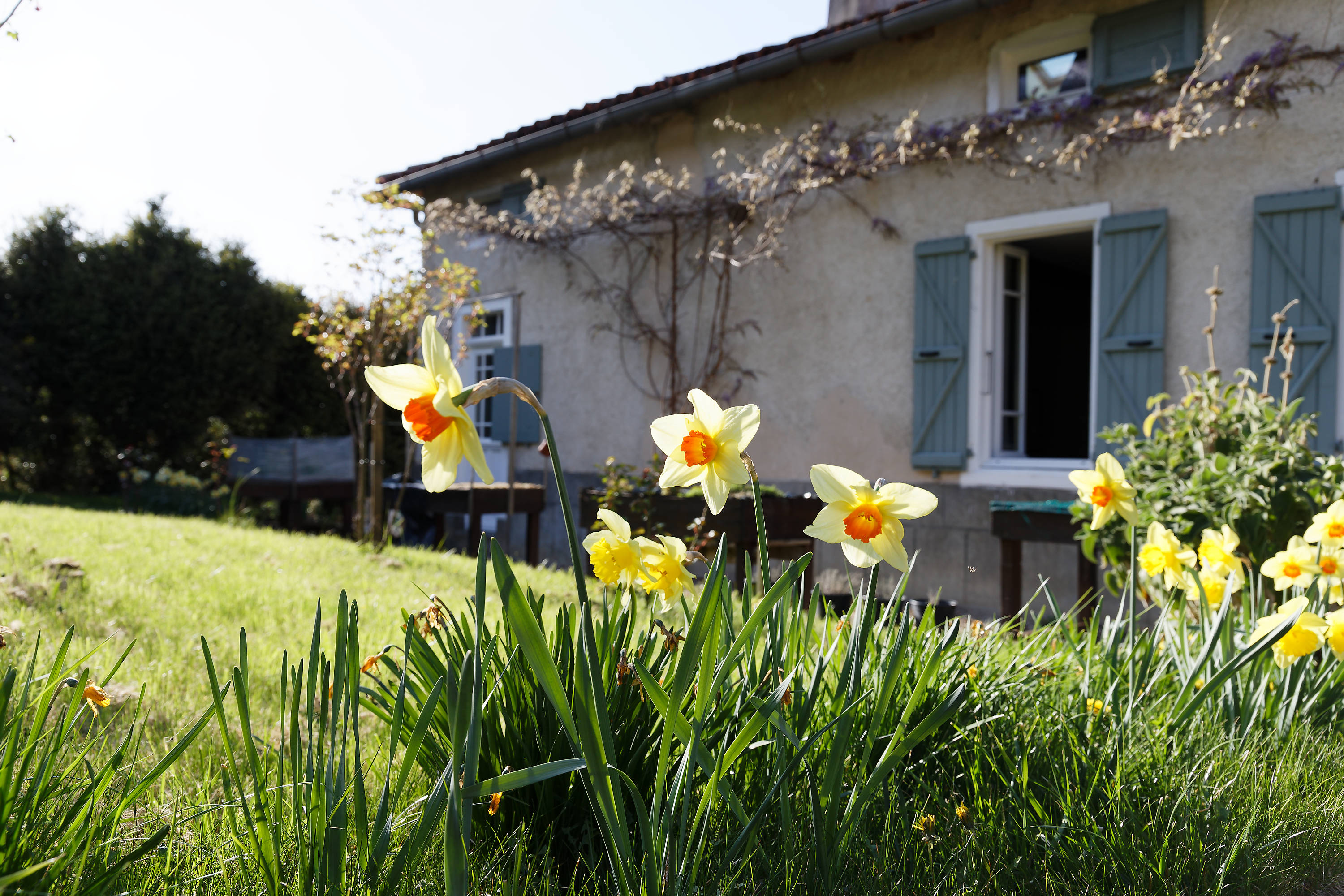 MAISON BAPTISTINE, Juzet-d'Izaut - photo 27
