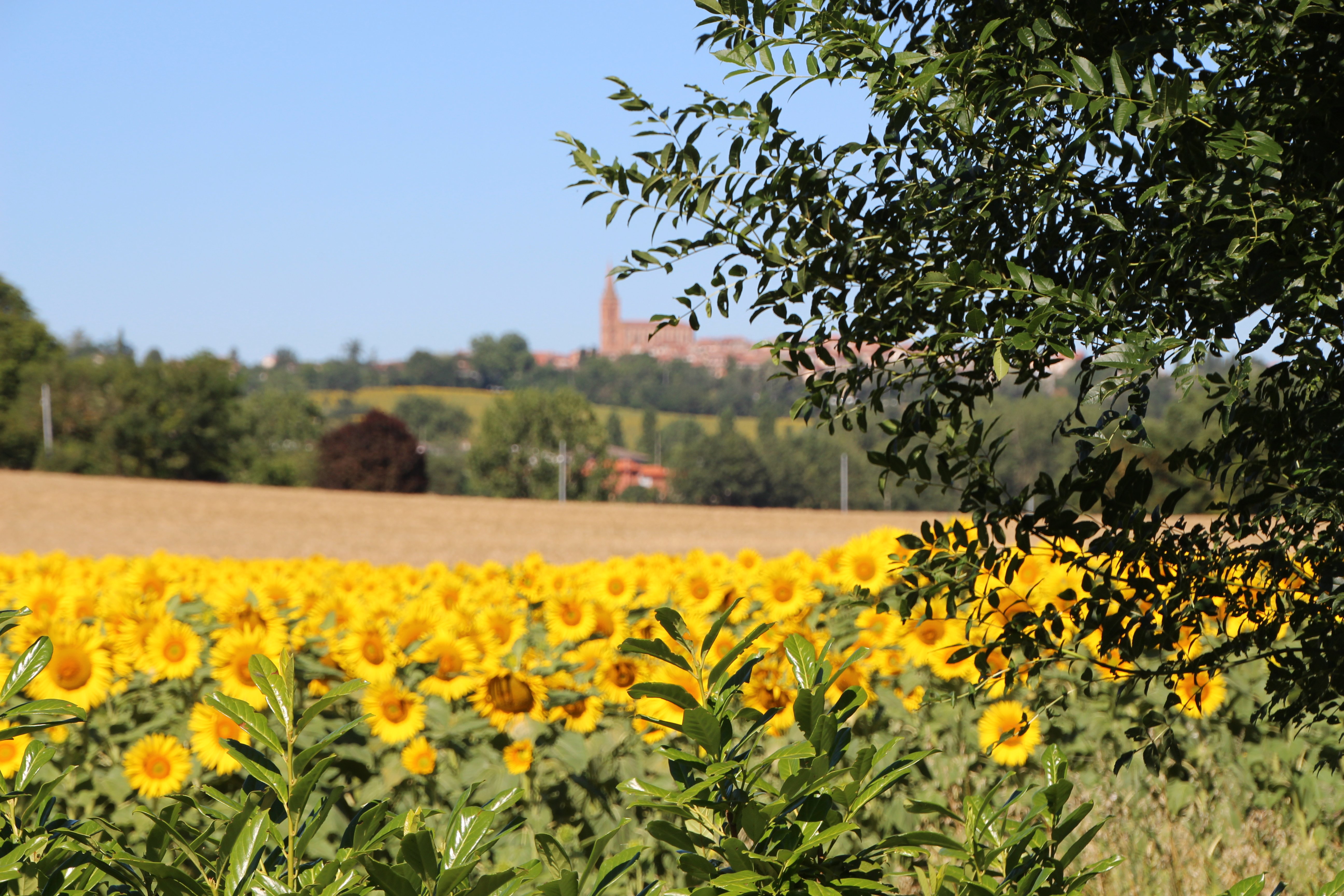 CAMPING LES AILLOS - photo 4