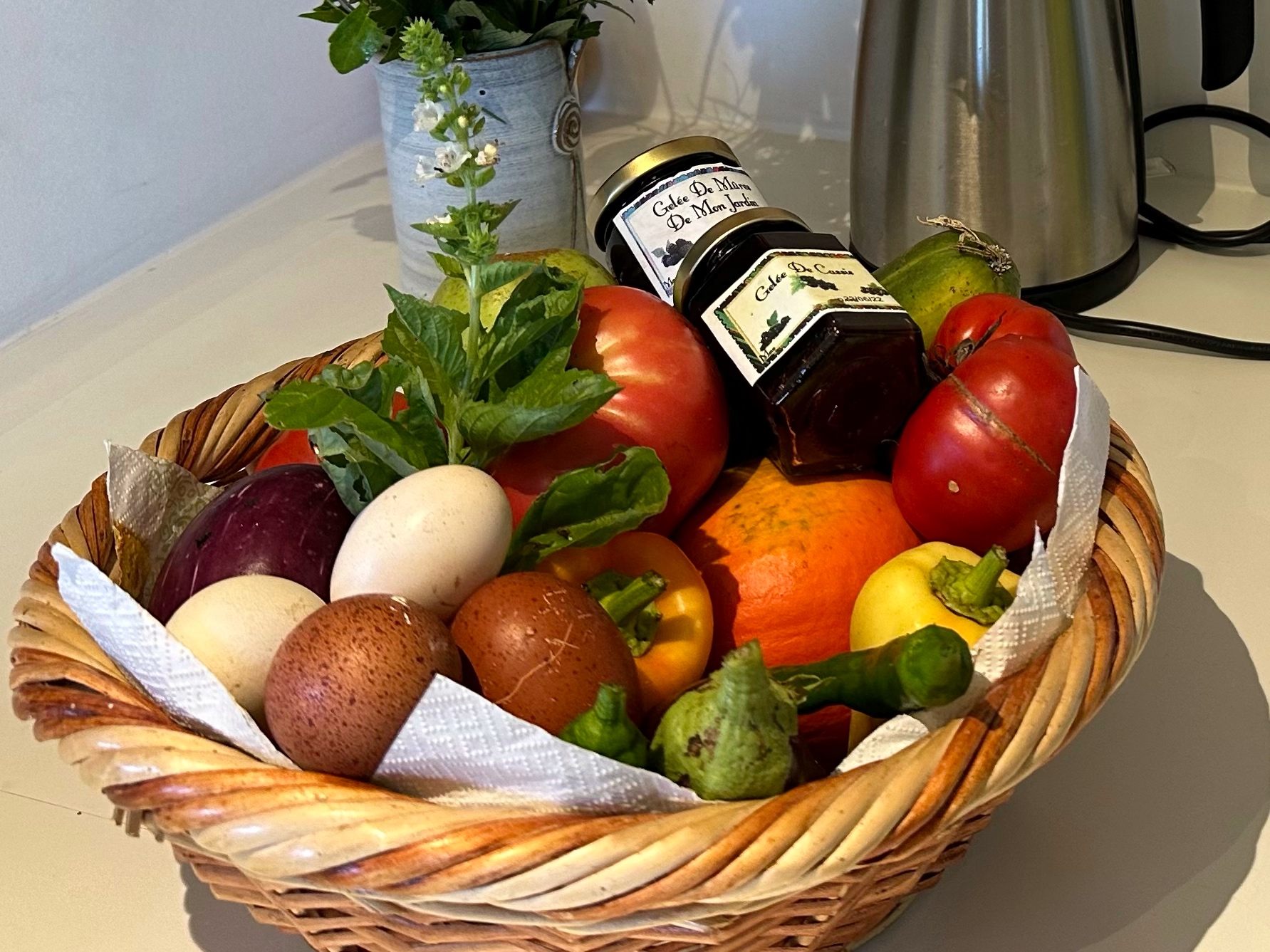 LE COCON VERT, Salies-du-Salat - photo 6