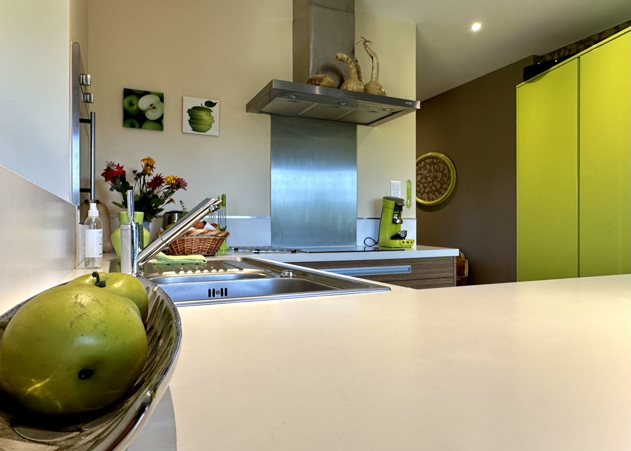 LE COCON VERT - photo 5