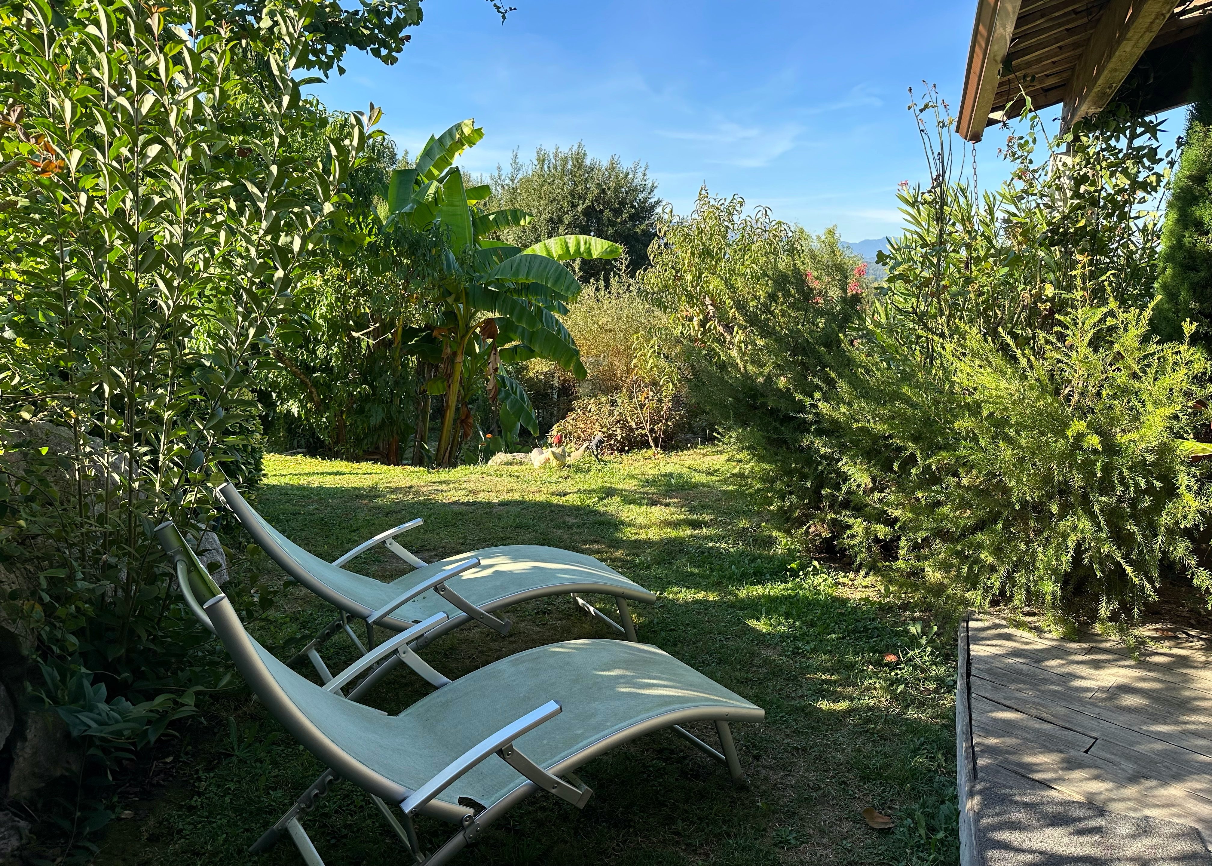 LE COCON VERT - photo 2