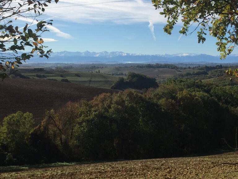 LE CHALET DE LA GESTERE - photo 2